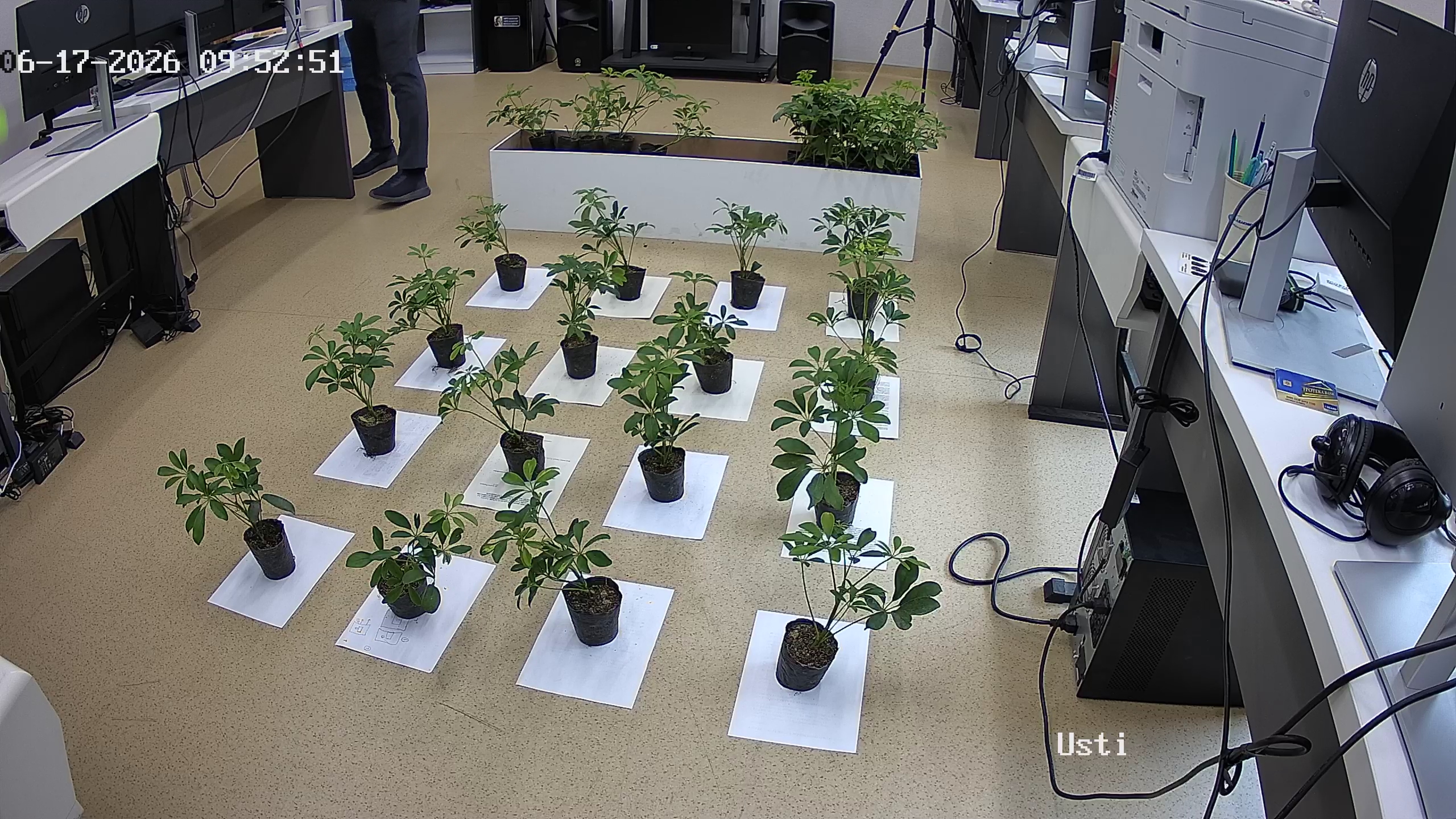 seedling_2026-06-17_09-53-21.jpg