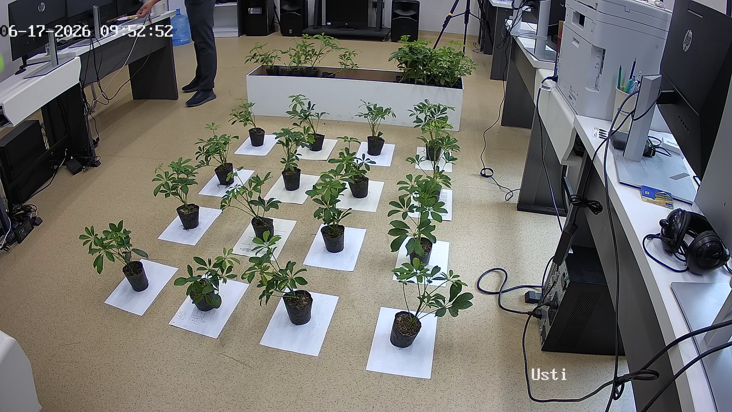 seedling_2026-06-17_09-53-31.jpg