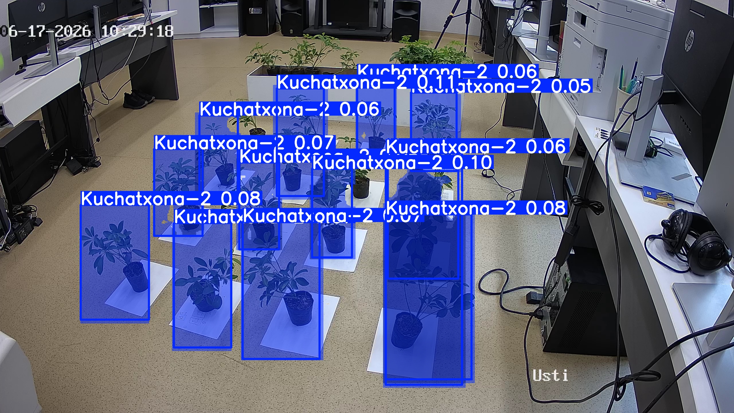 seedling_2026-06-17_10-30-21.jpg