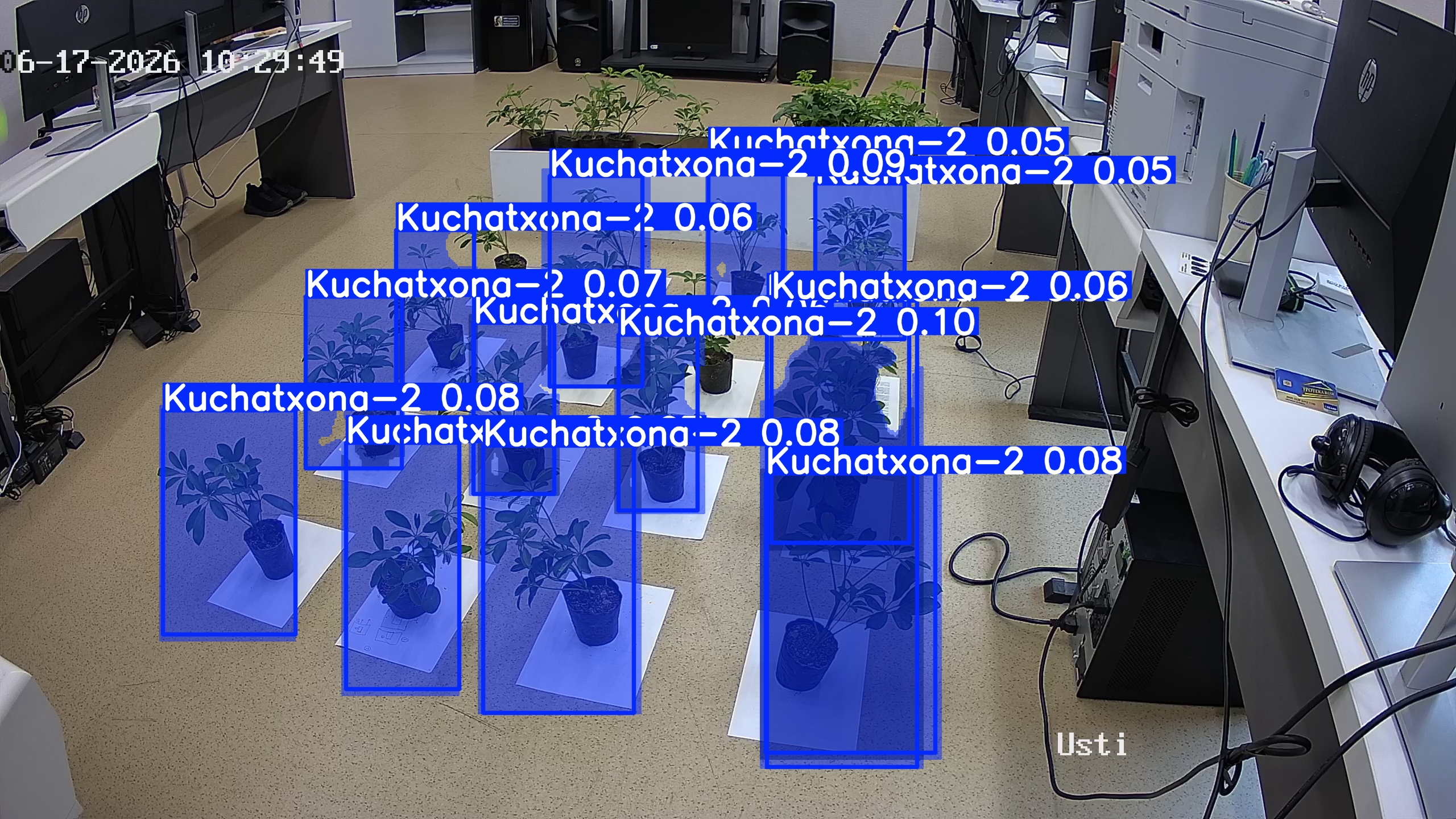 seedling_2026-06-17_10-30-22.jpg