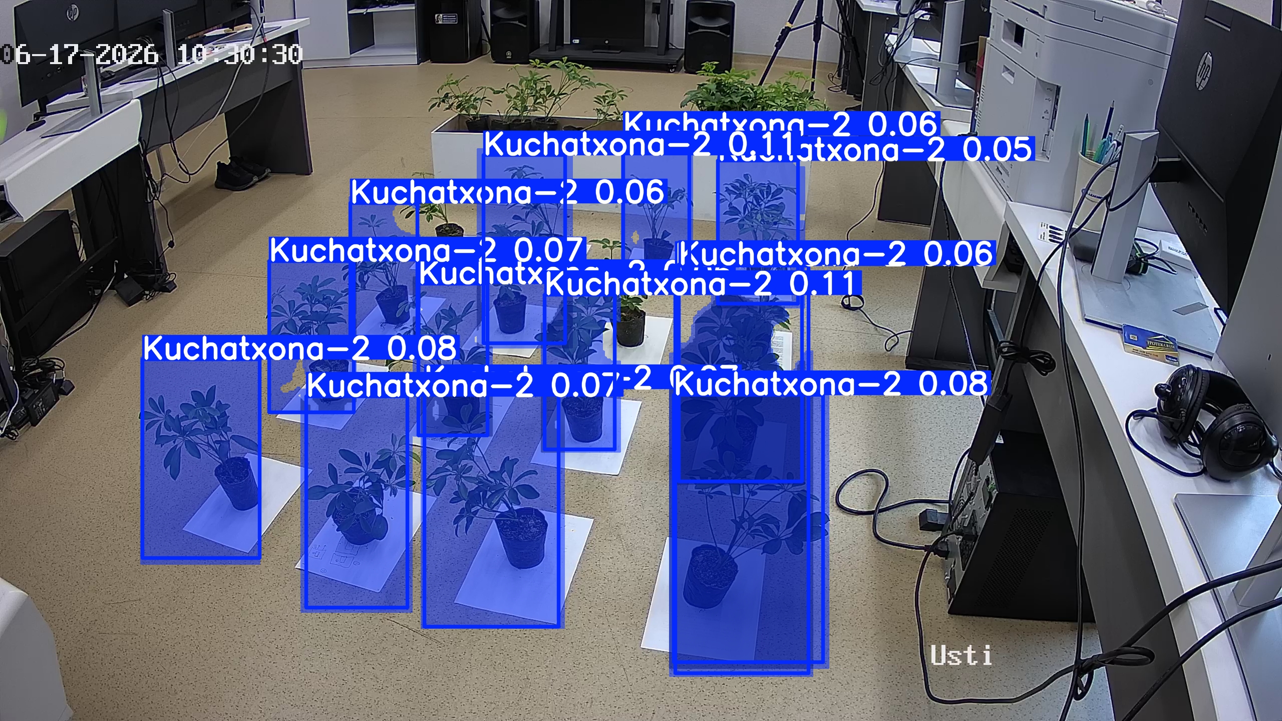 seedling_2026-06-17_10-30-52.jpg