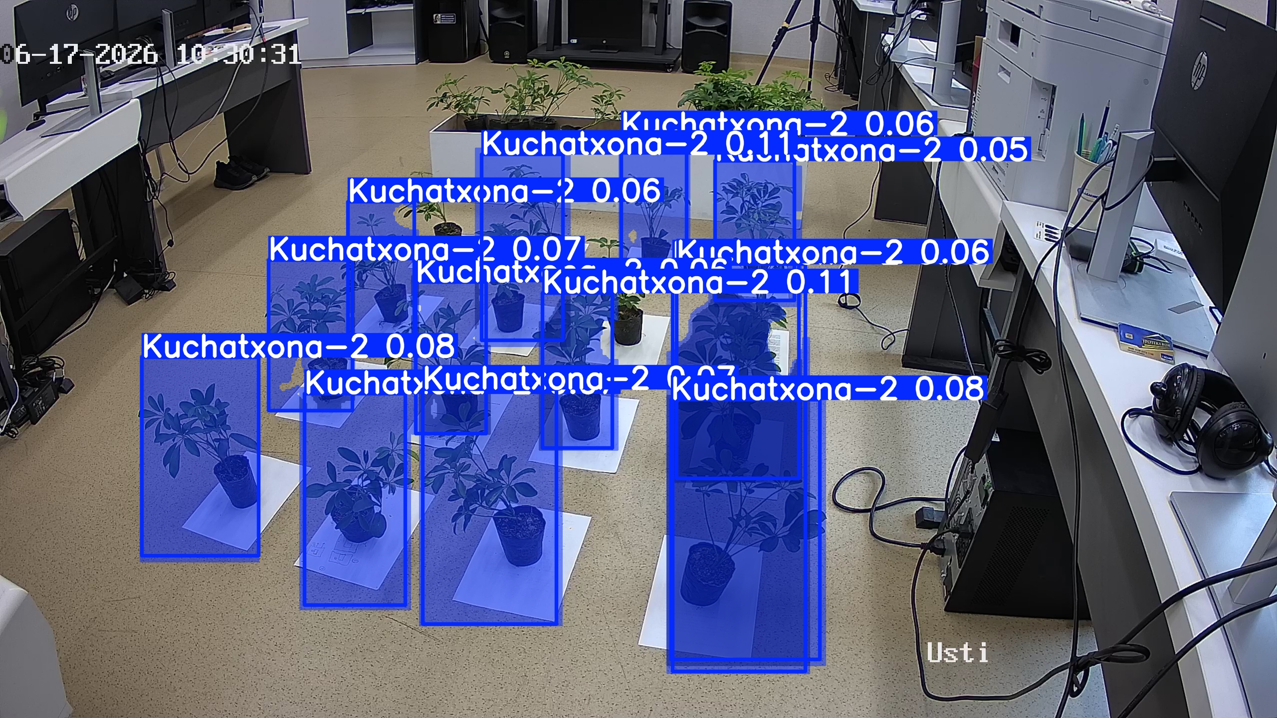 seedling_2026-06-17_10-31-25.jpg