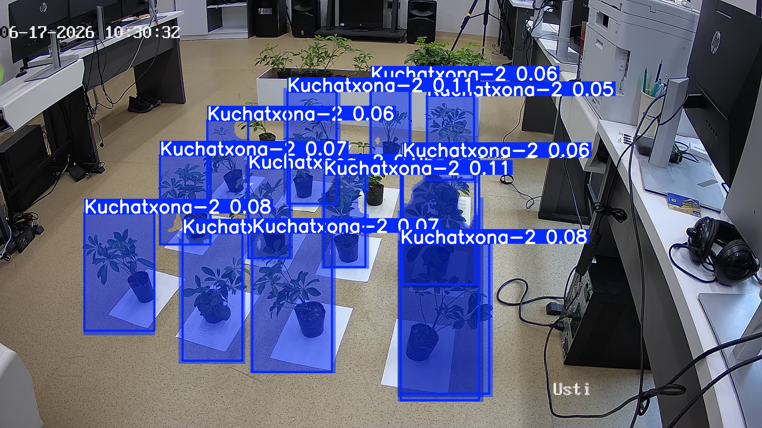 seedling_2026-06-17_10-31-35.jpg