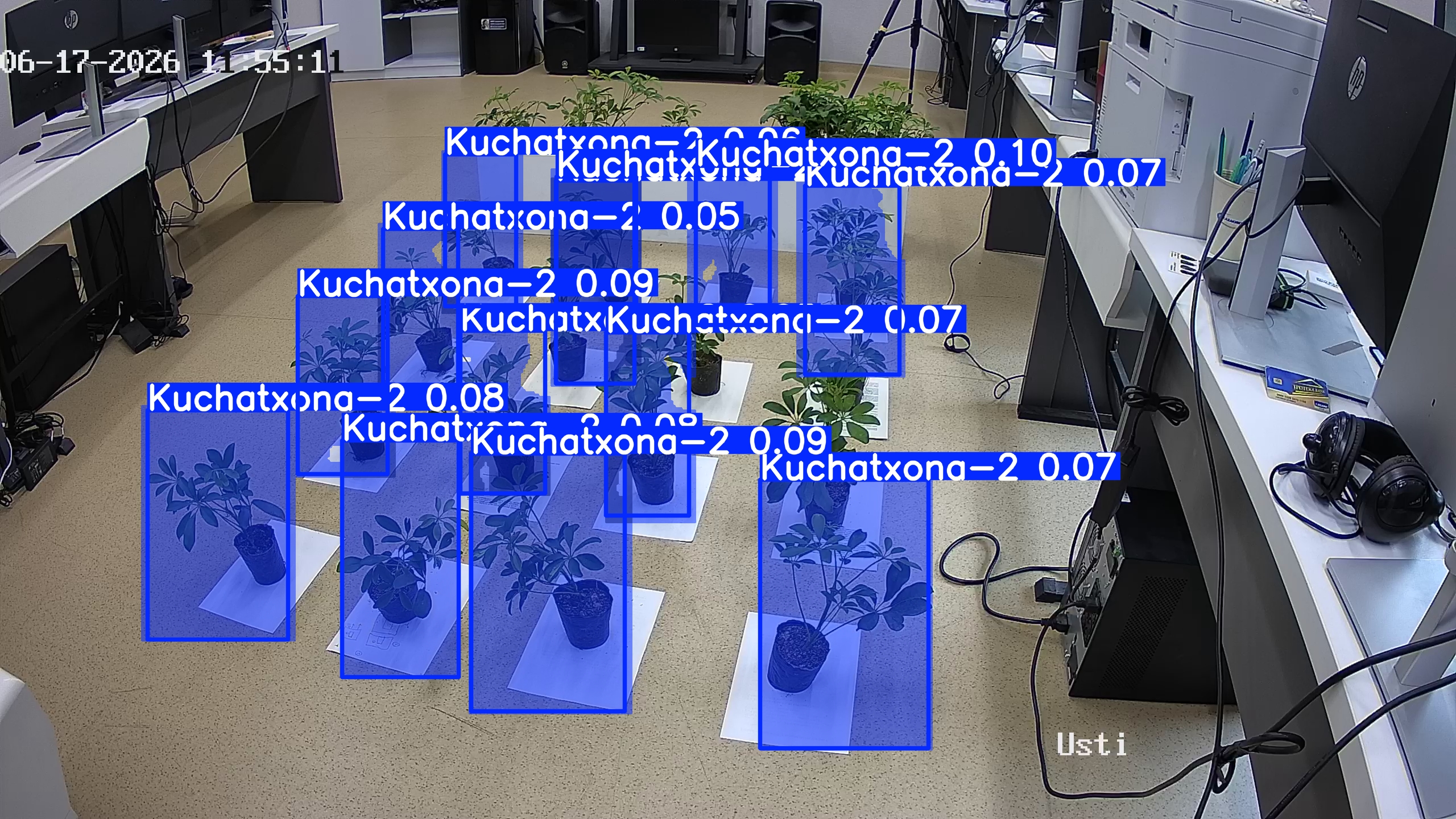 seedling_2026-06-17_11-55-31.jpg