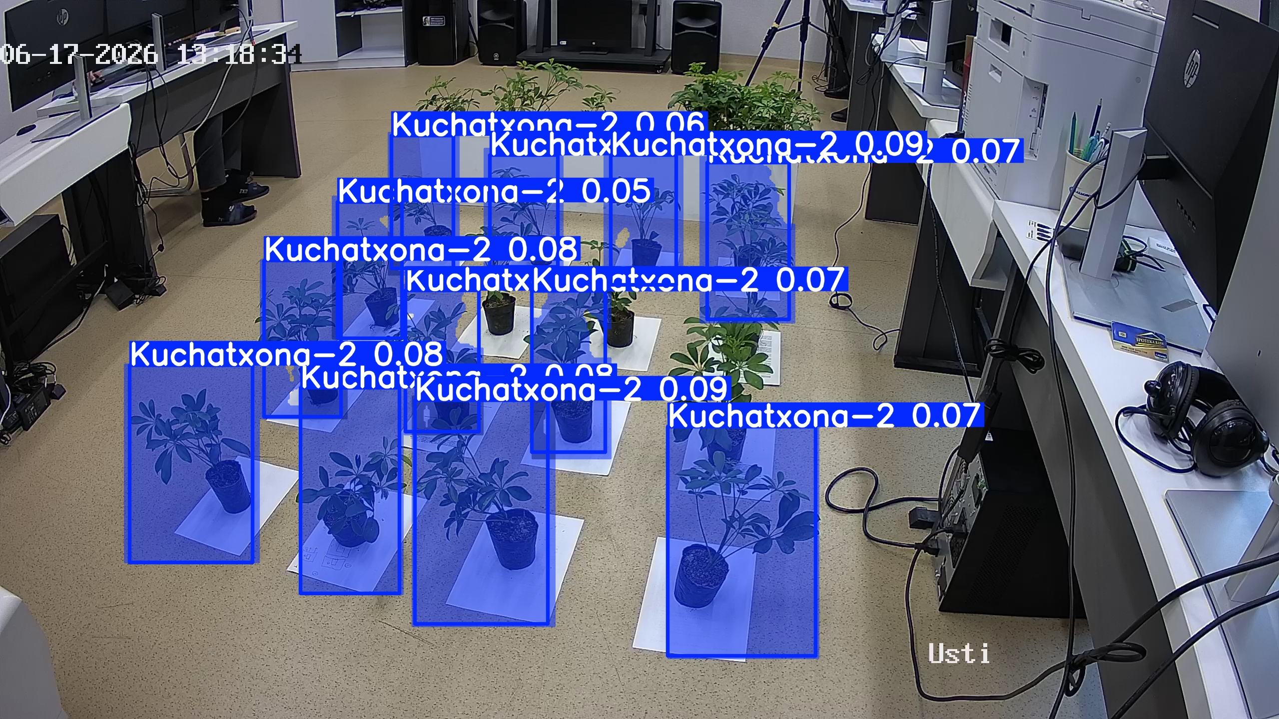 seedling_2026-06-17_13-18-51.jpg