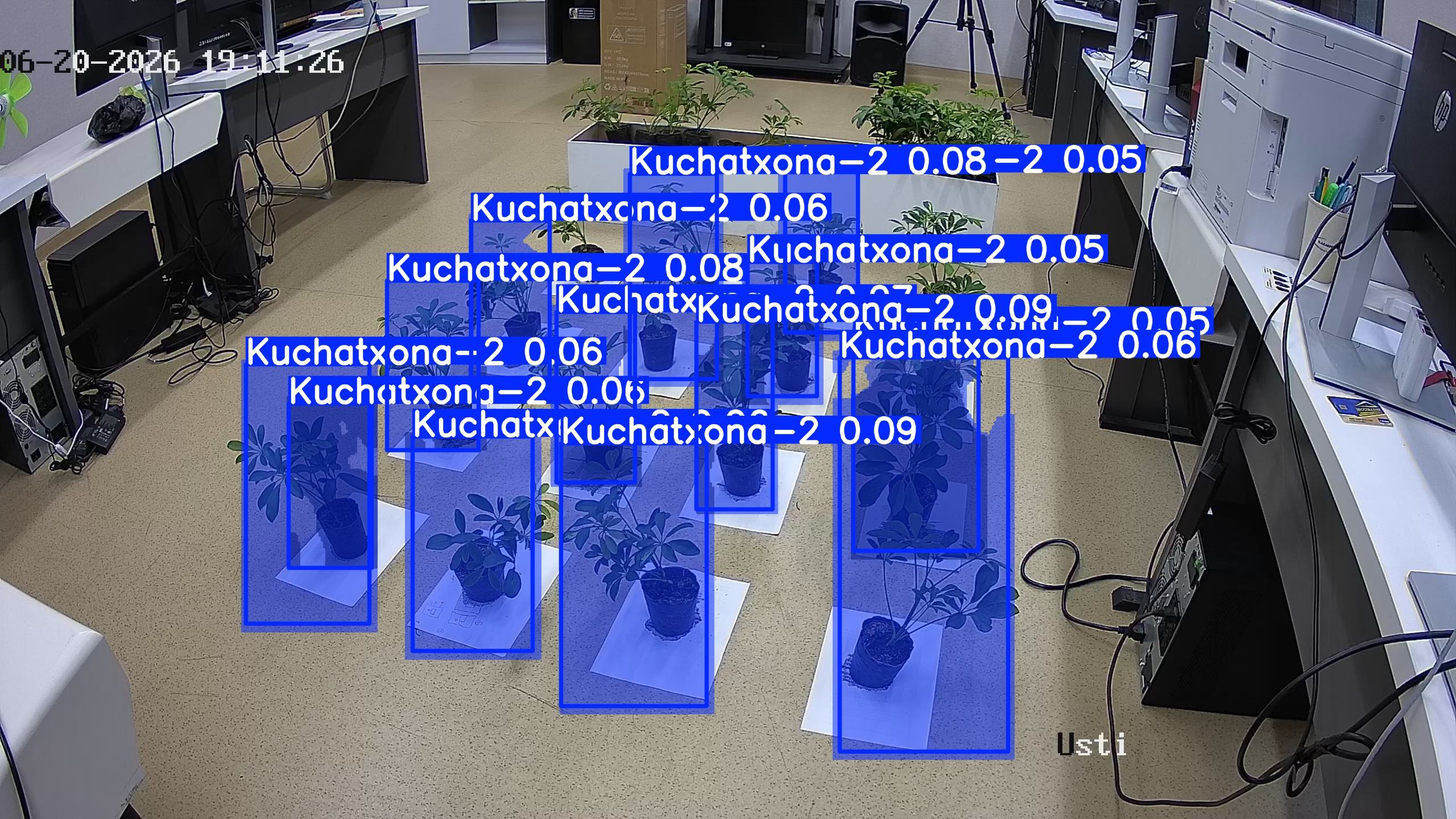 seedling_2026-06-20_19-11-59.jpg