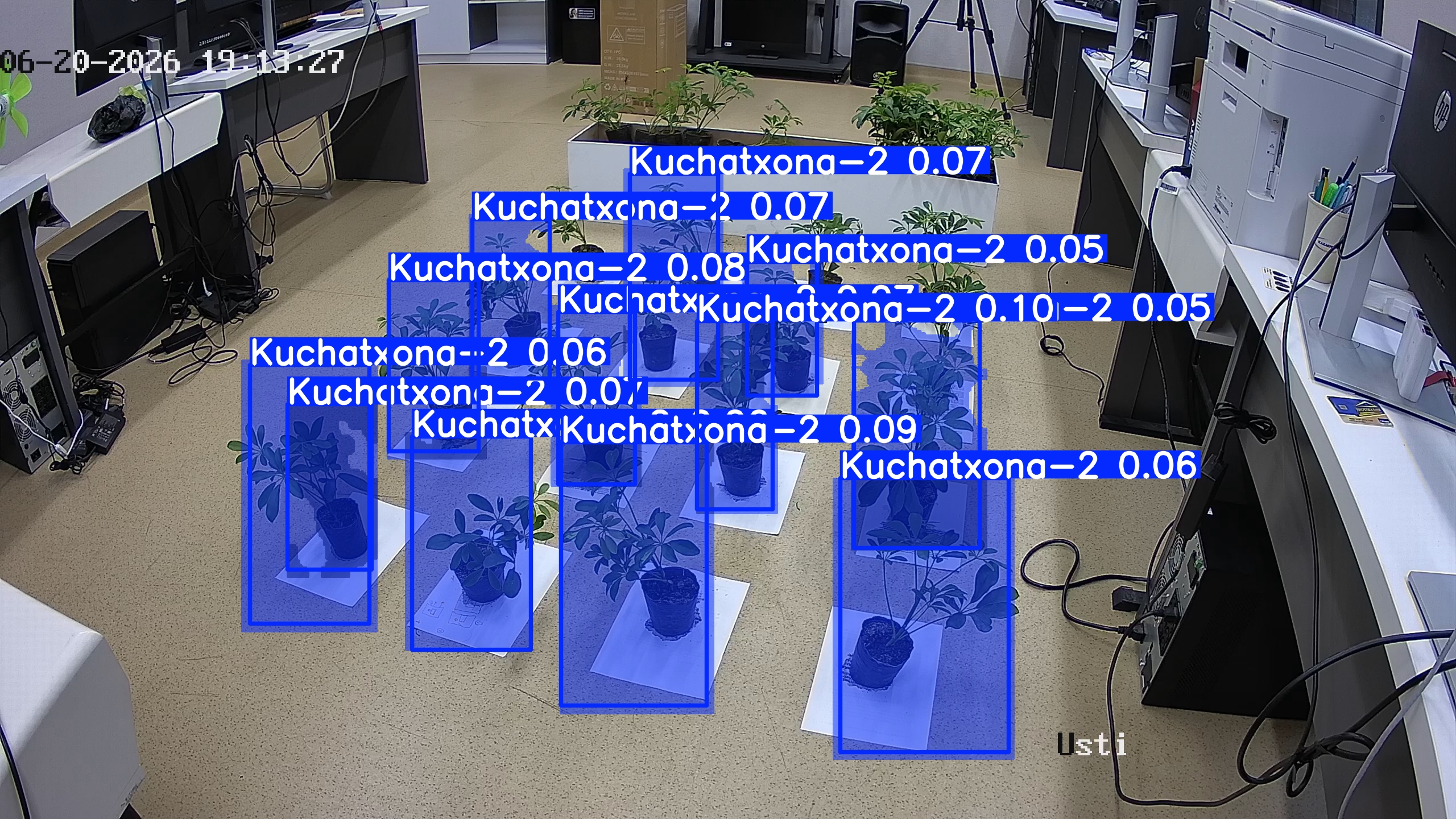 seedling_2026-06-20_19-13-42.jpg