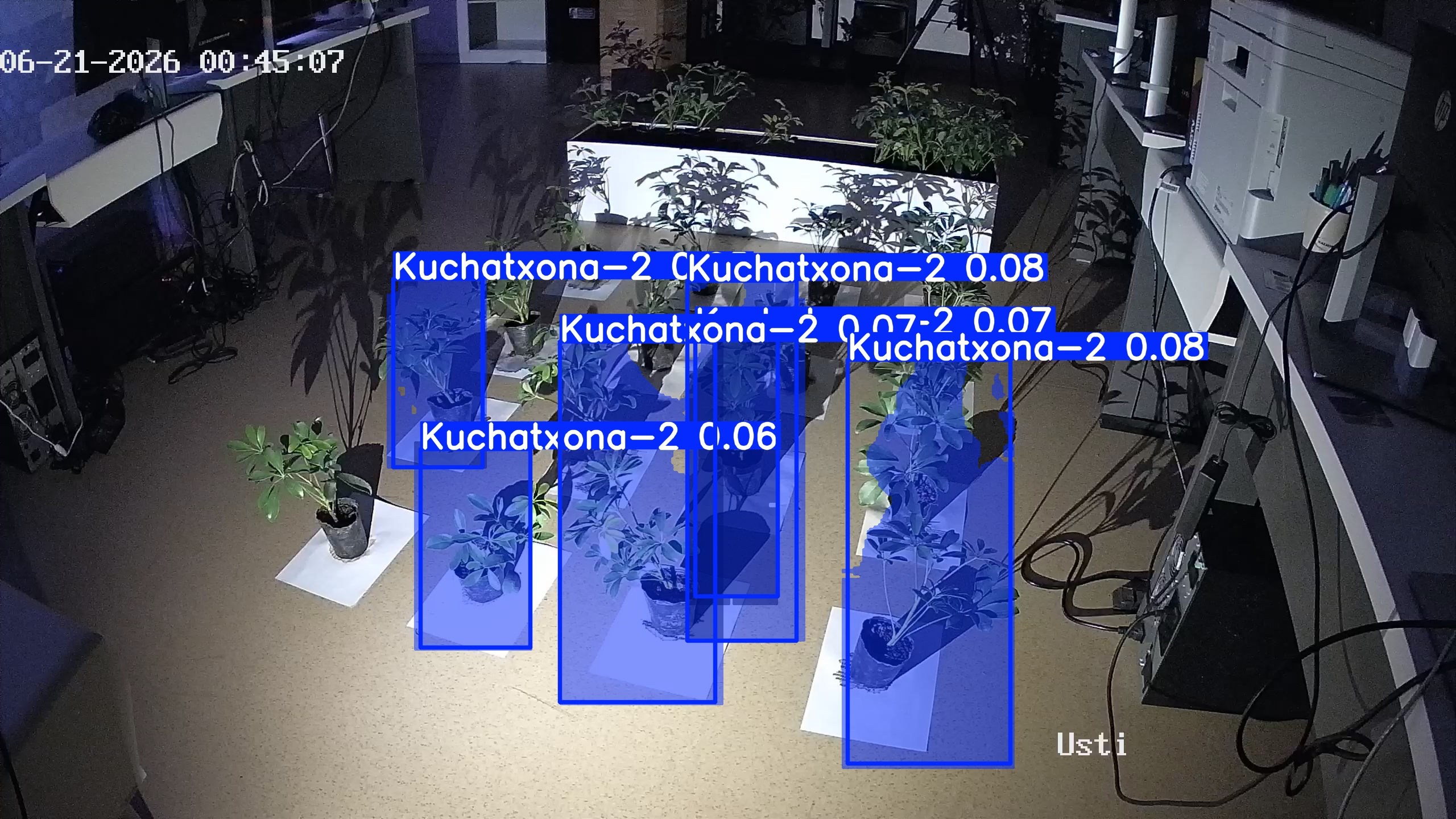 seedling_2026-06-21_00-45-24.jpg