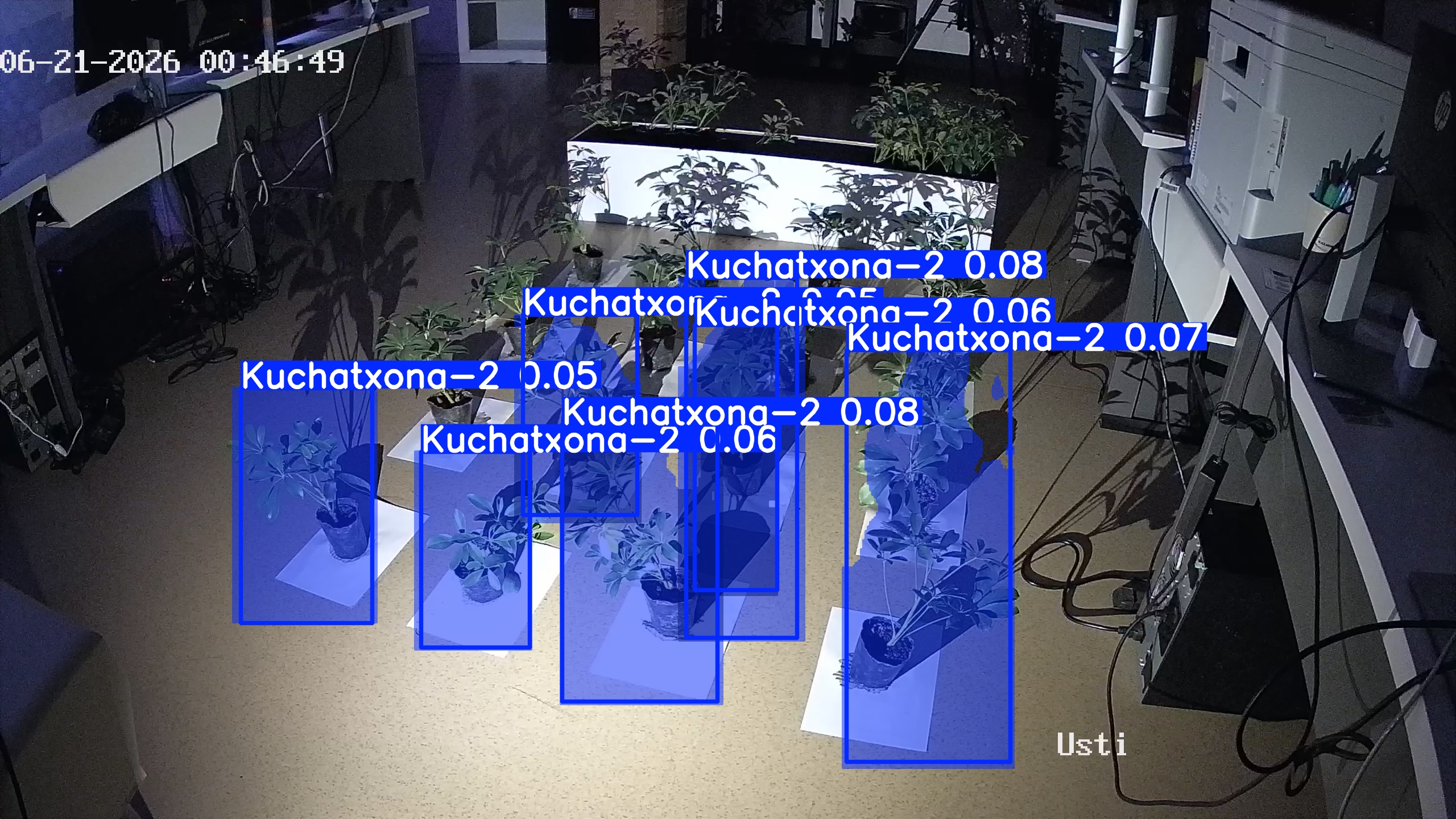 seedling_2026-06-21_00-47-28.jpg