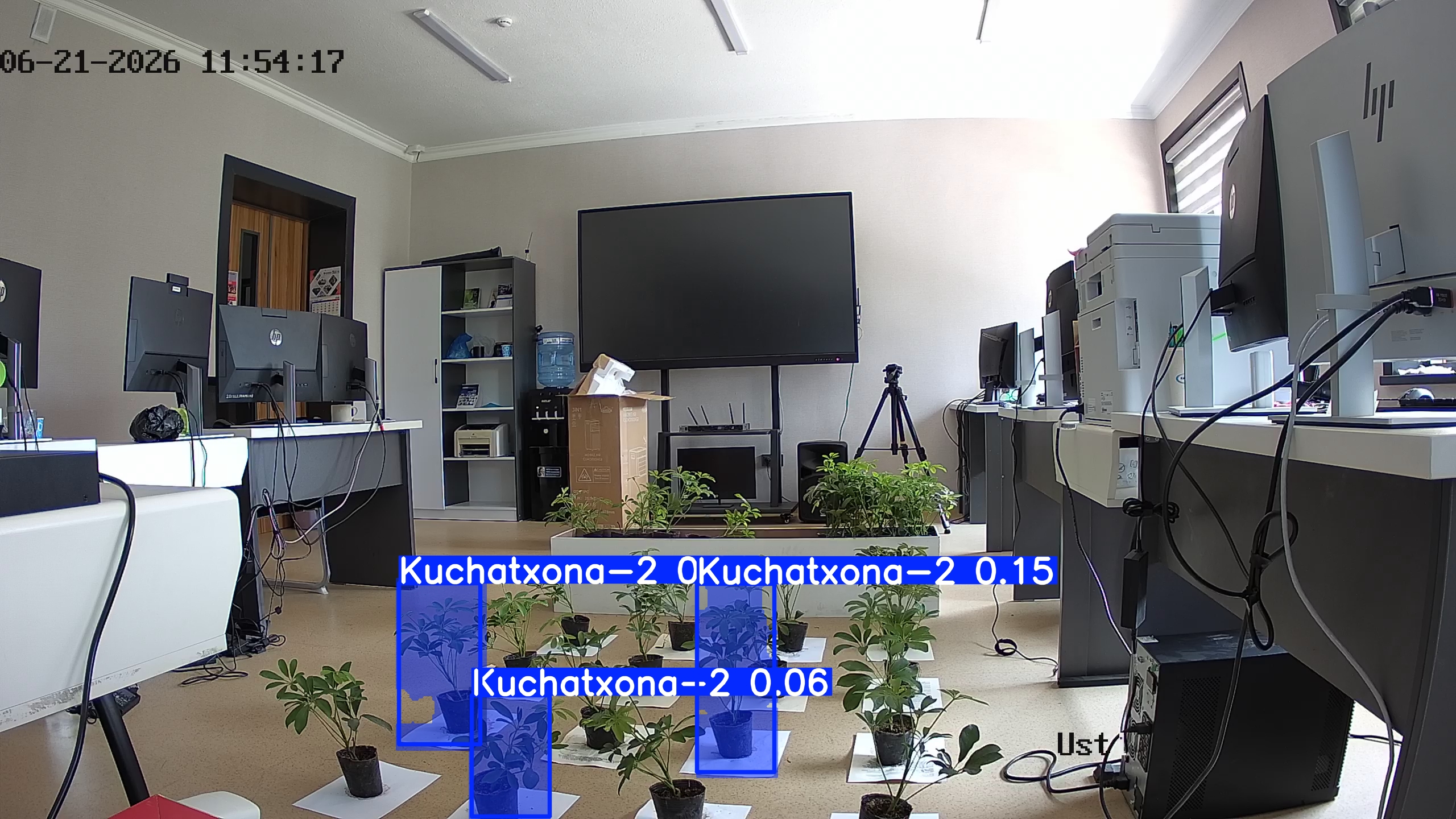 seedling_2026-06-21_11-54-32.jpg