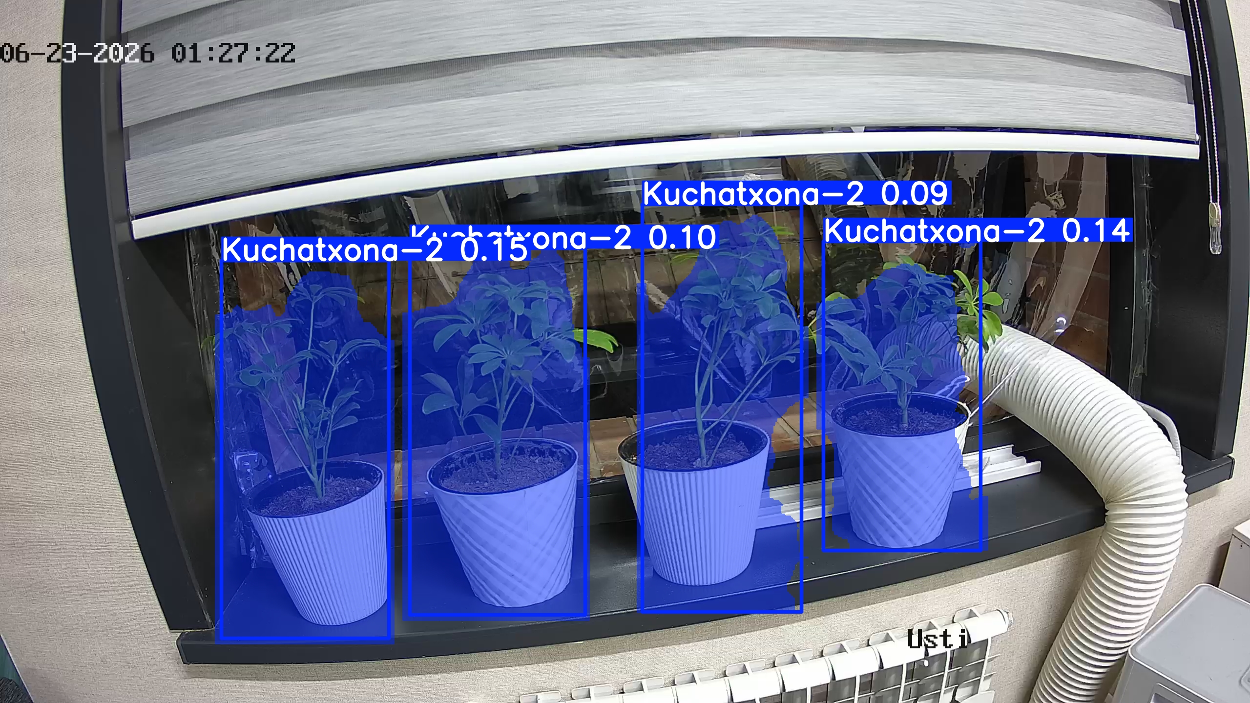 seedling_2026-06-23_01-27-32.jpg
