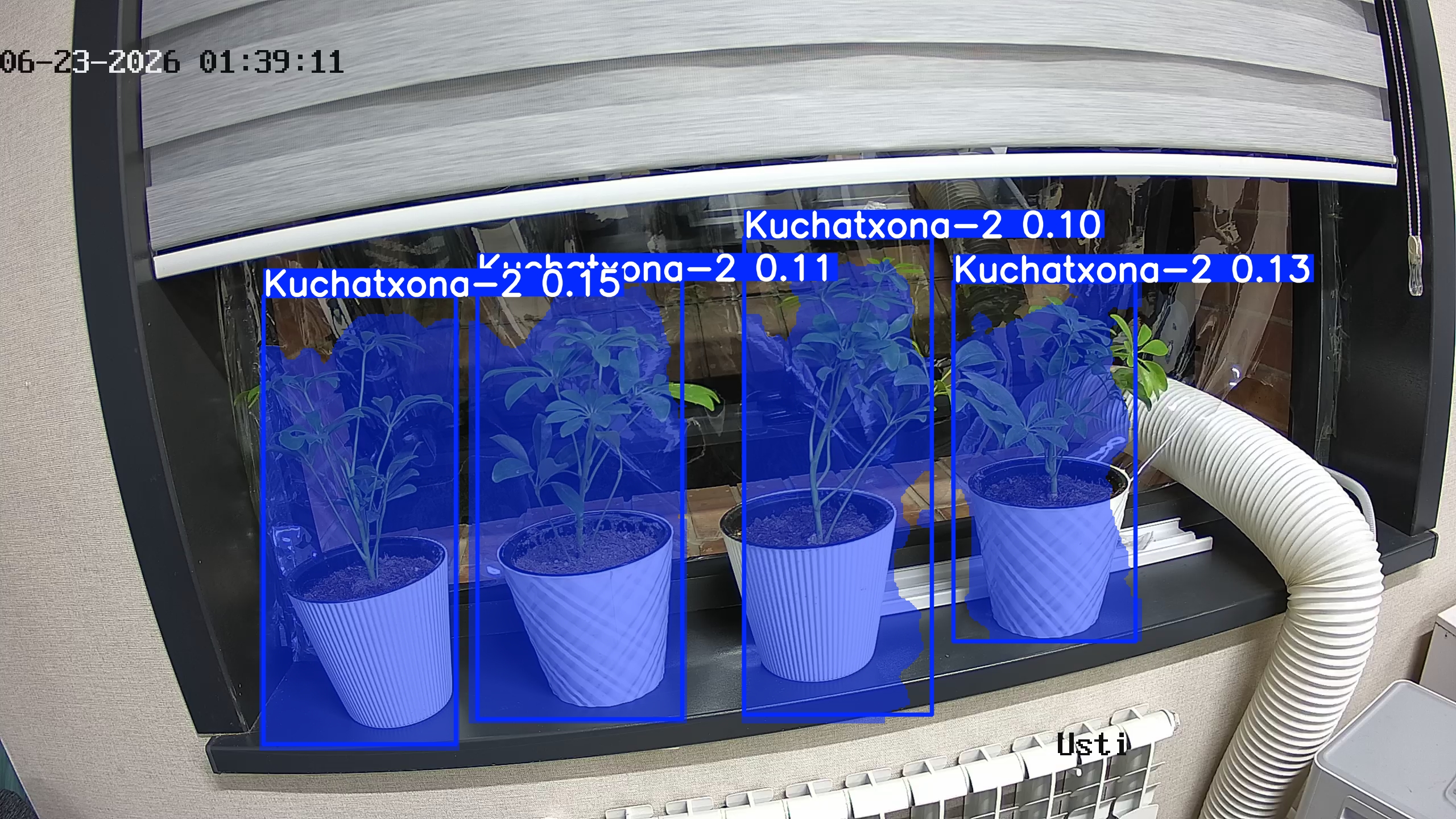 seedling_2026-06-23_01-39-22.jpg