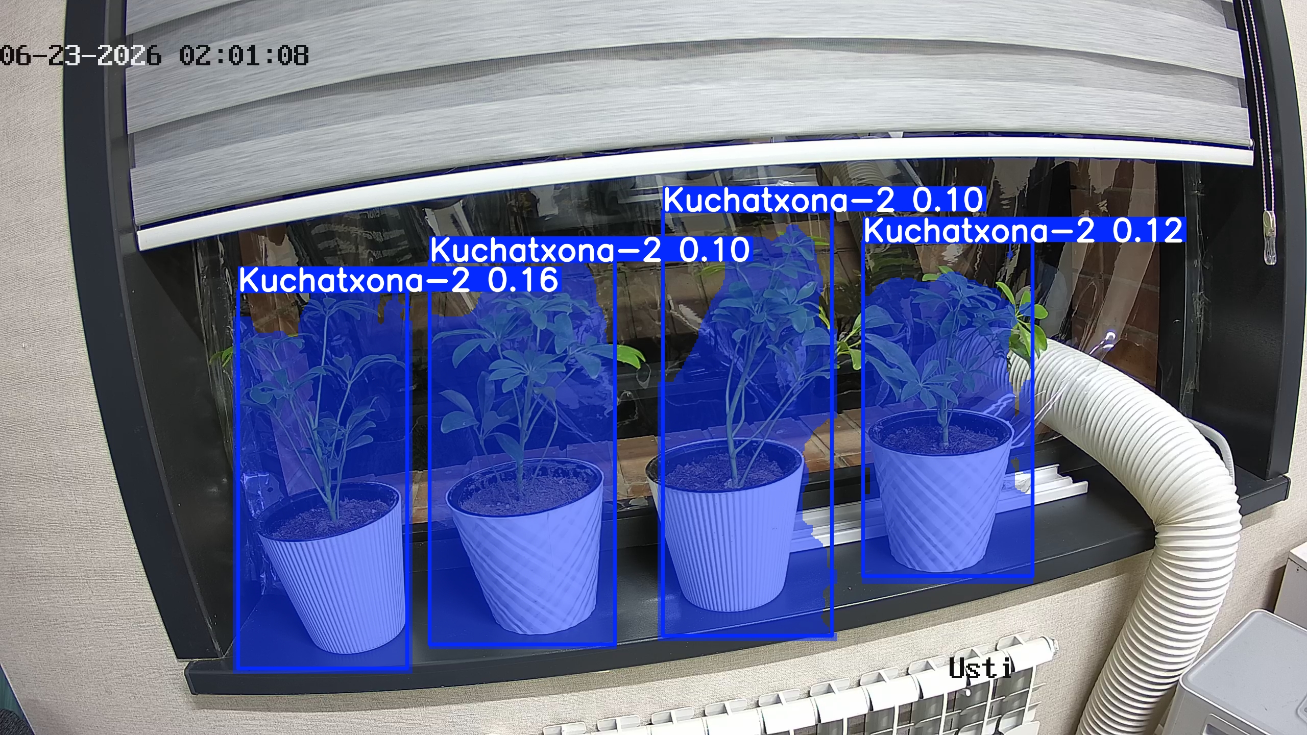 seedling_2026-06-23_02-02-00.jpg