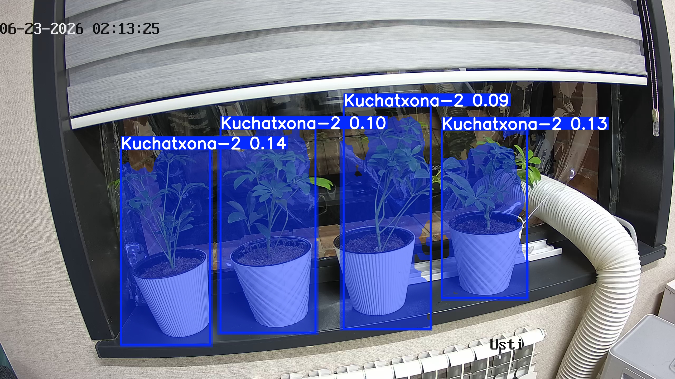 seedling_2026-06-23_02-13-36.jpg