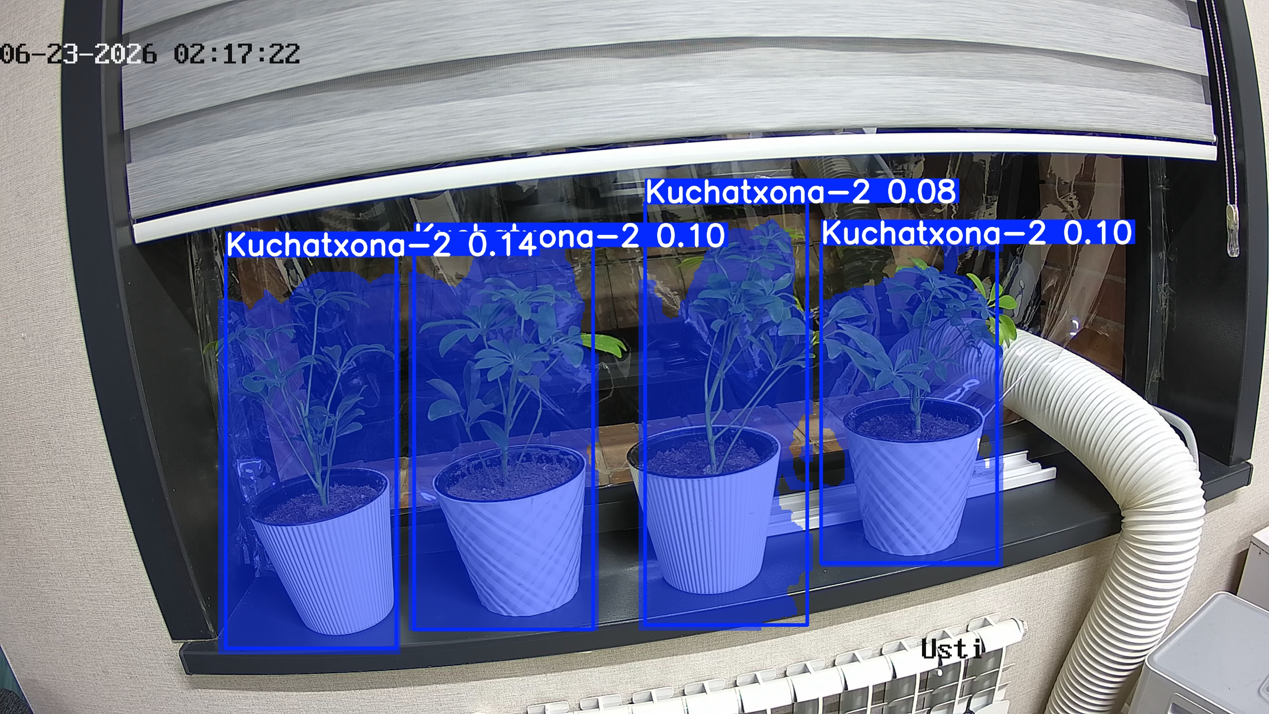 seedling_2026-06-23_02-17-32.jpg