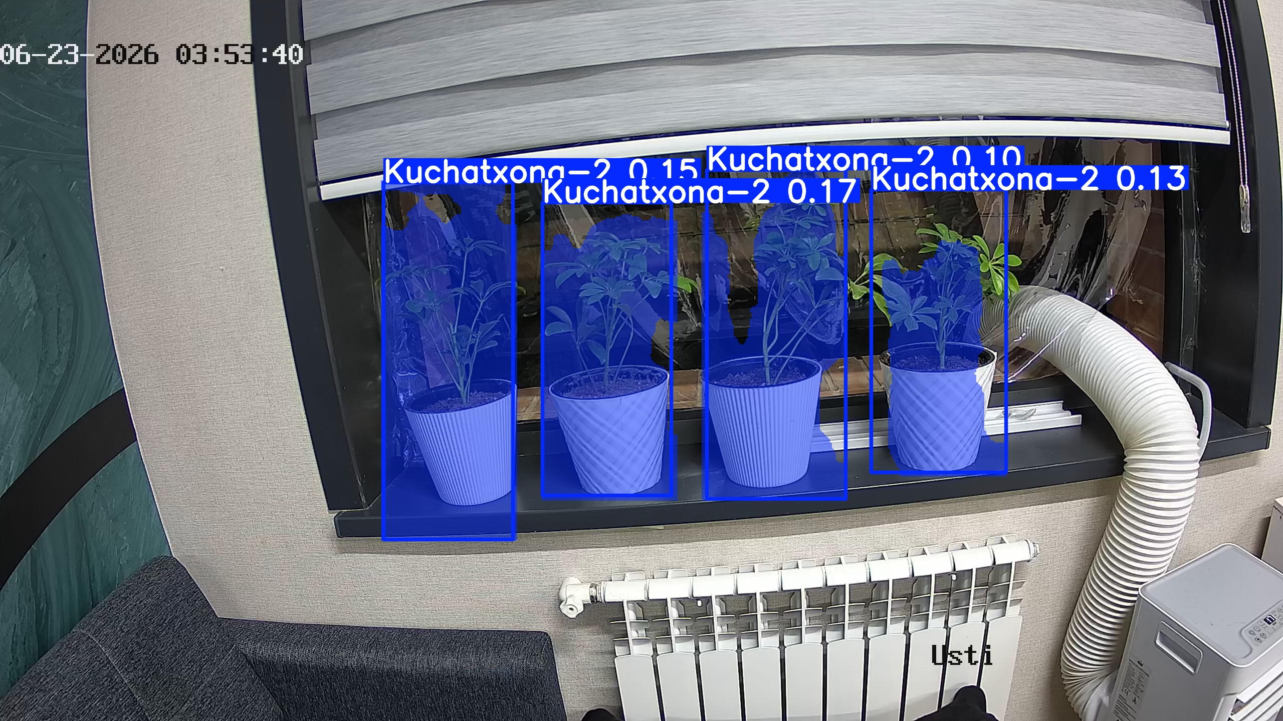 seedling_2026-06-23_03-53-55.jpg