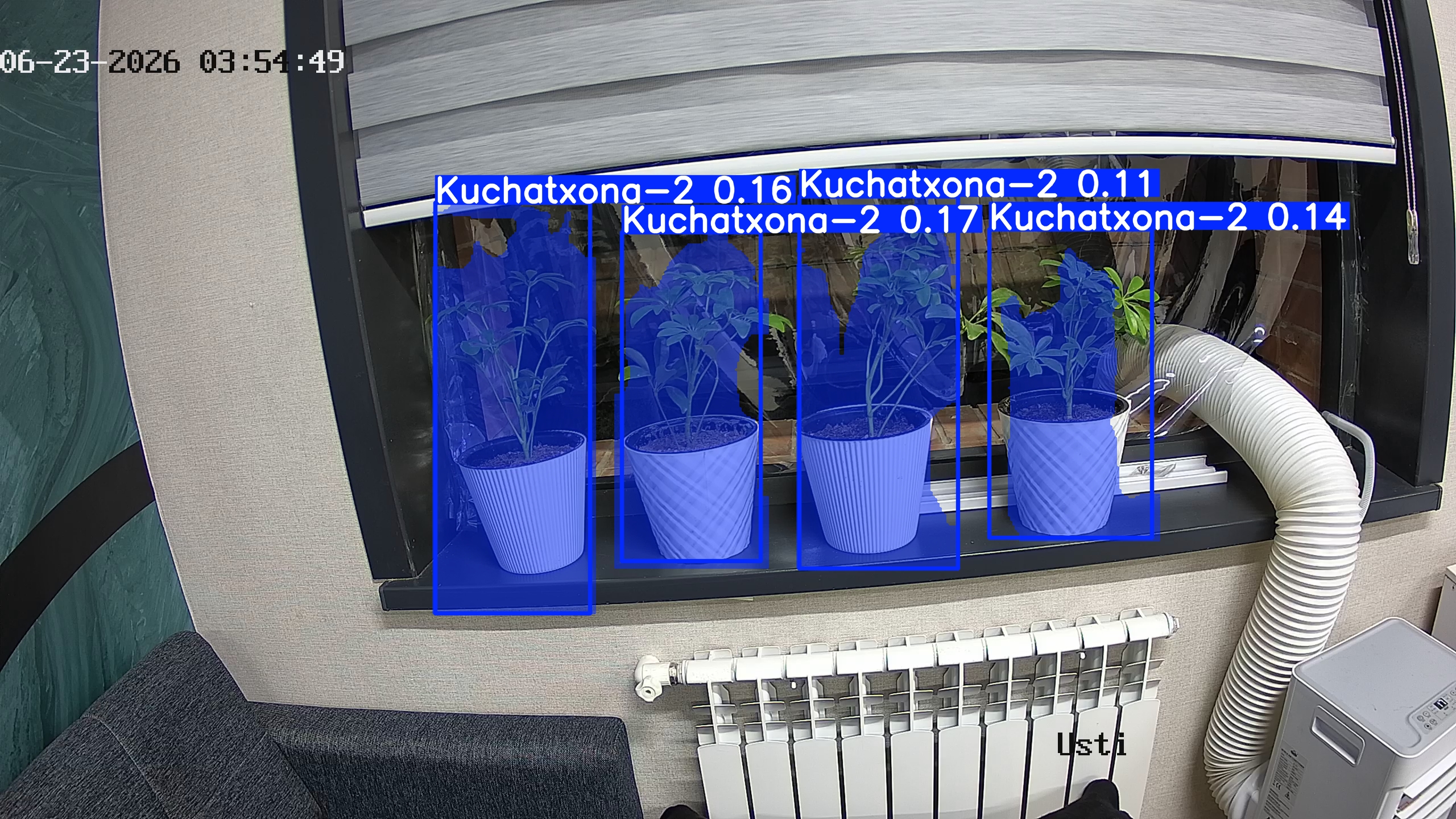 seedling_2026-06-23_03-55-04.jpg