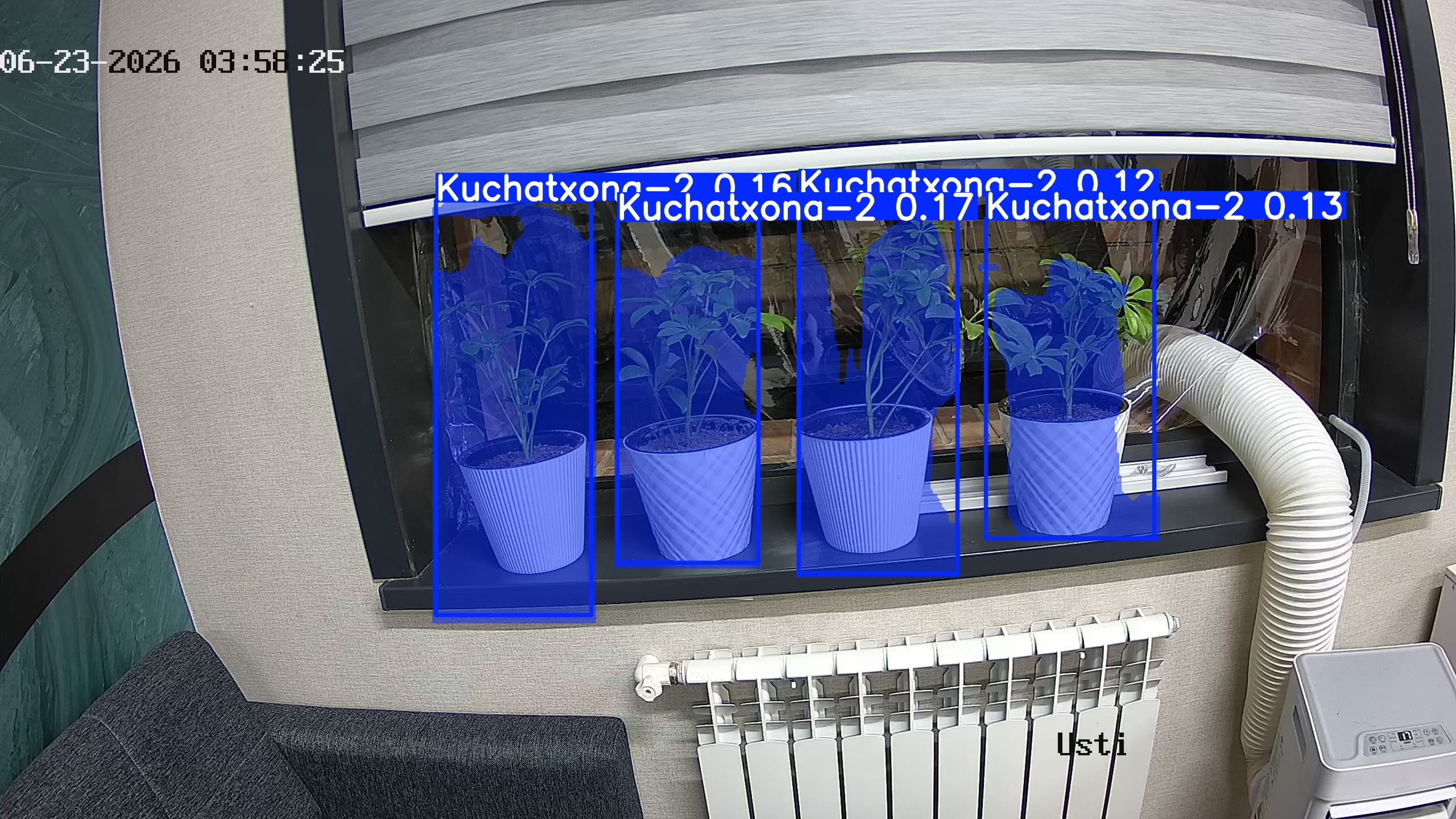 seedling_2026-06-23_03-58-40.jpg