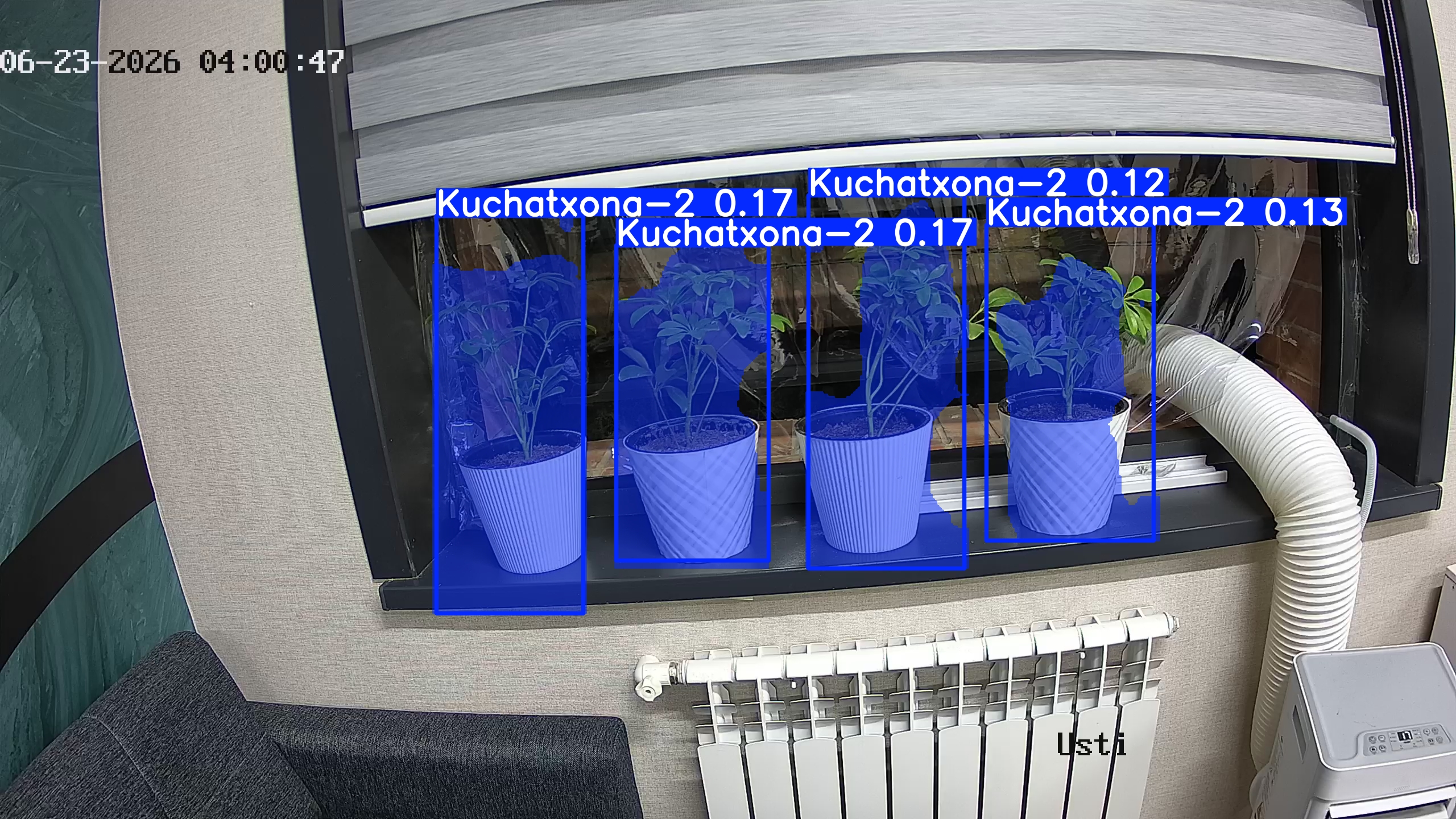 seedling_2026-06-23_04-01-03.jpg