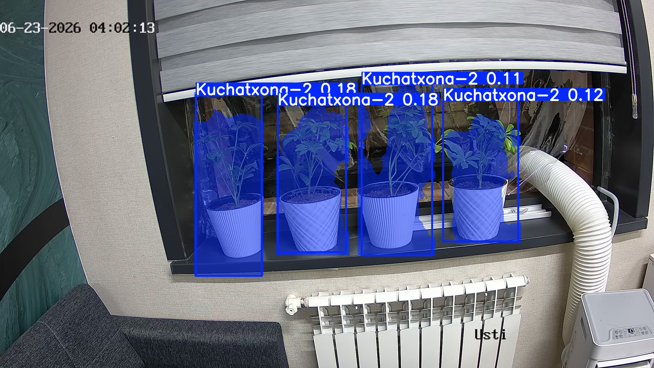 seedling_2026-06-23_04-02-28.jpg
