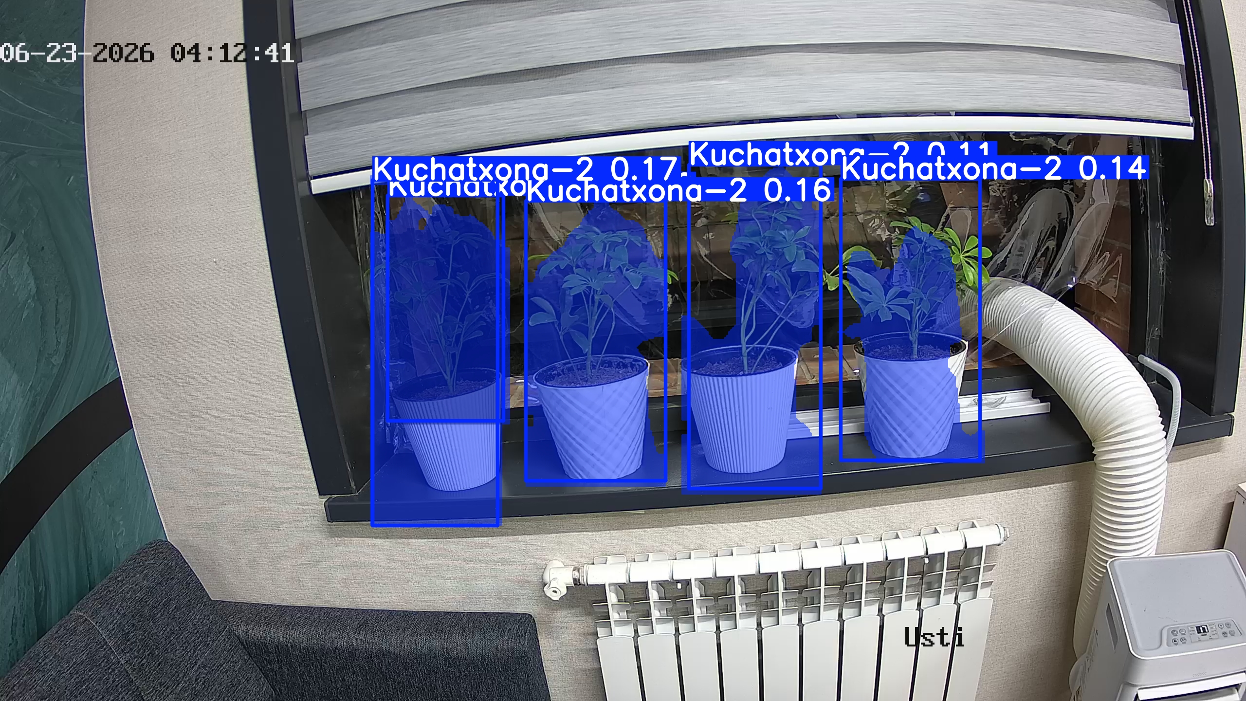seedling_2026-06-23_04-12-52.jpg