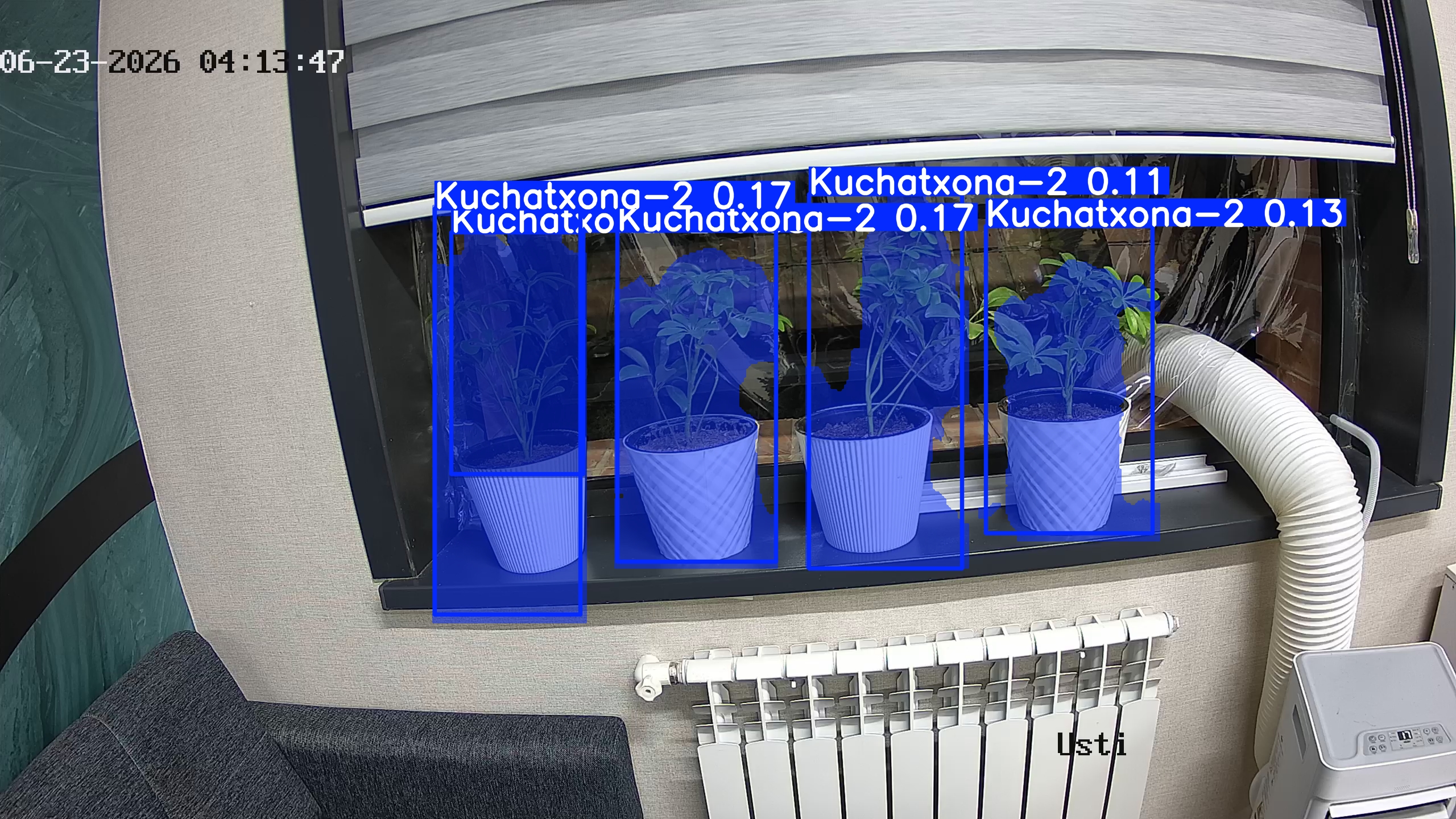seedling_2026-06-23_04-14-03.jpg