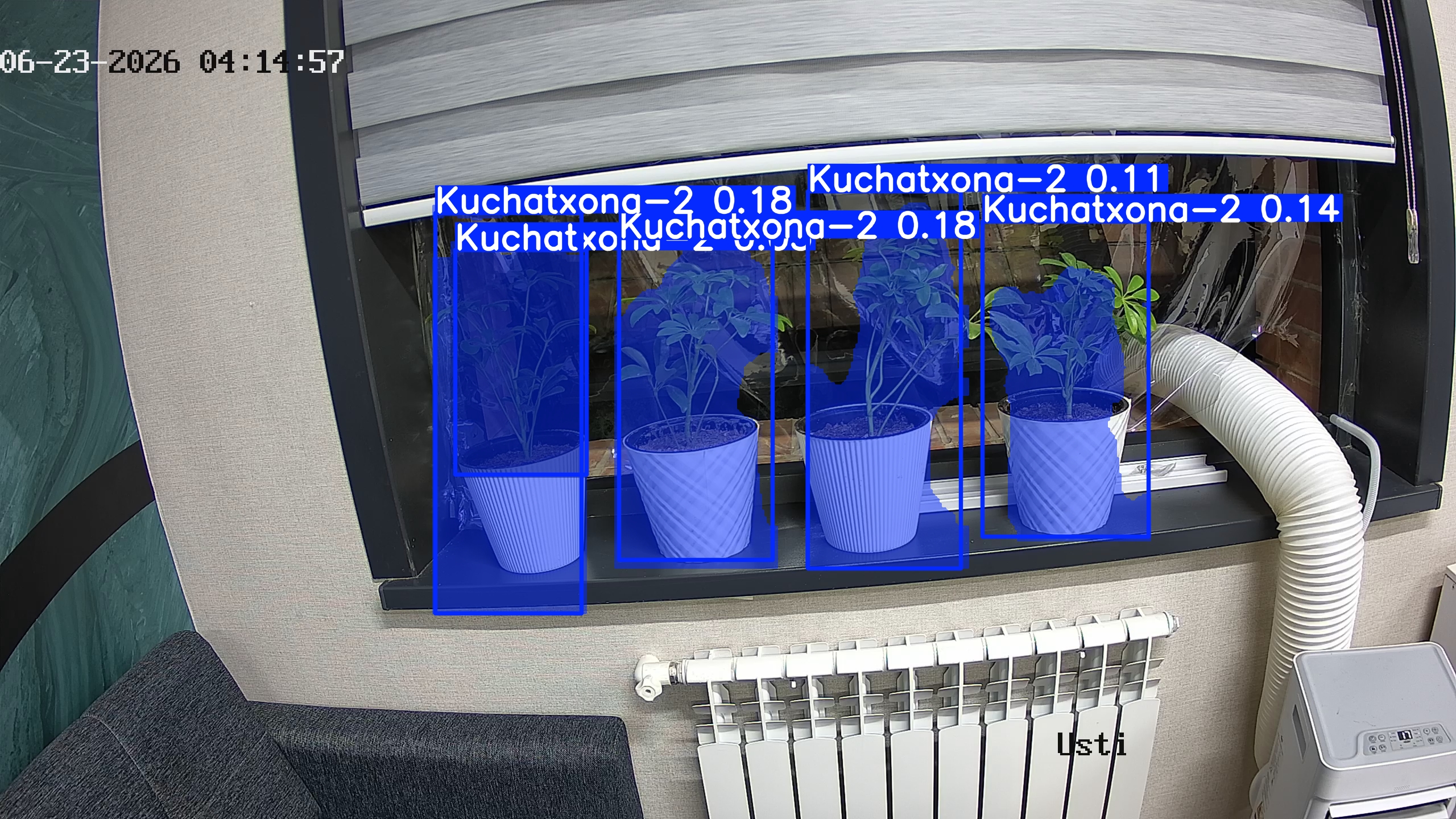 seedling_2026-06-23_04-15-12.jpg
