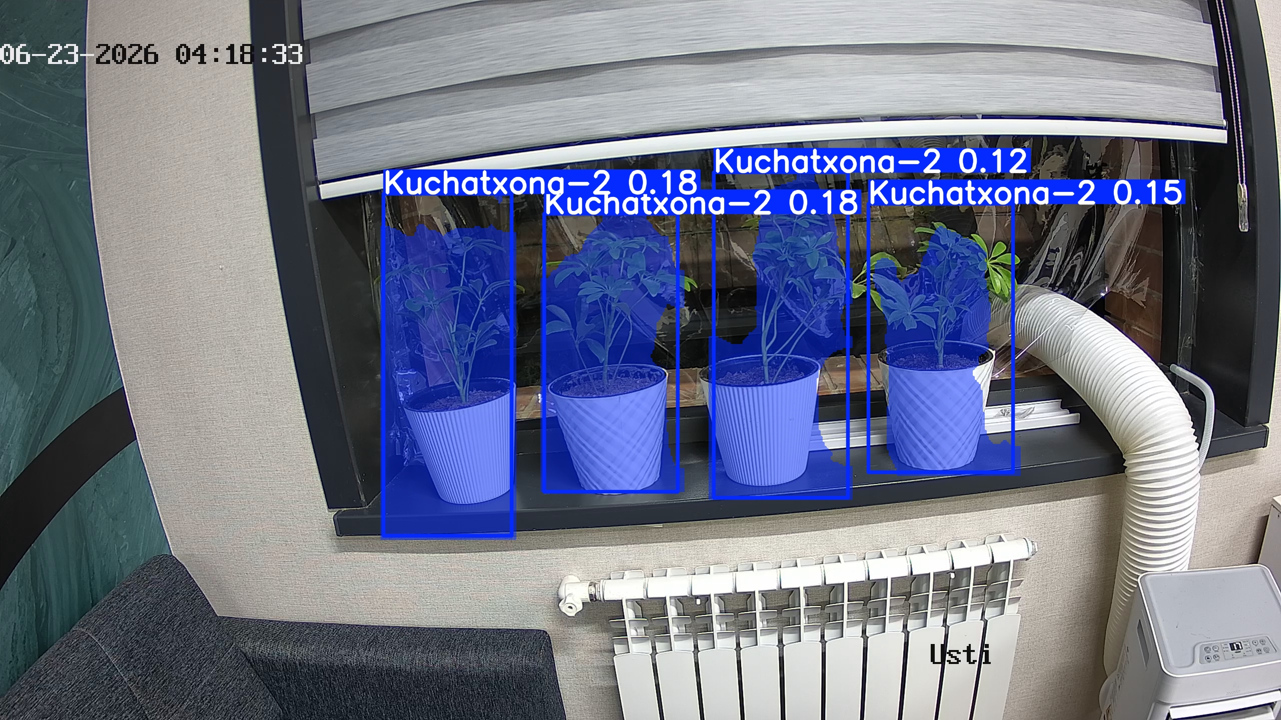seedling_2026-06-23_04-18-43.jpg