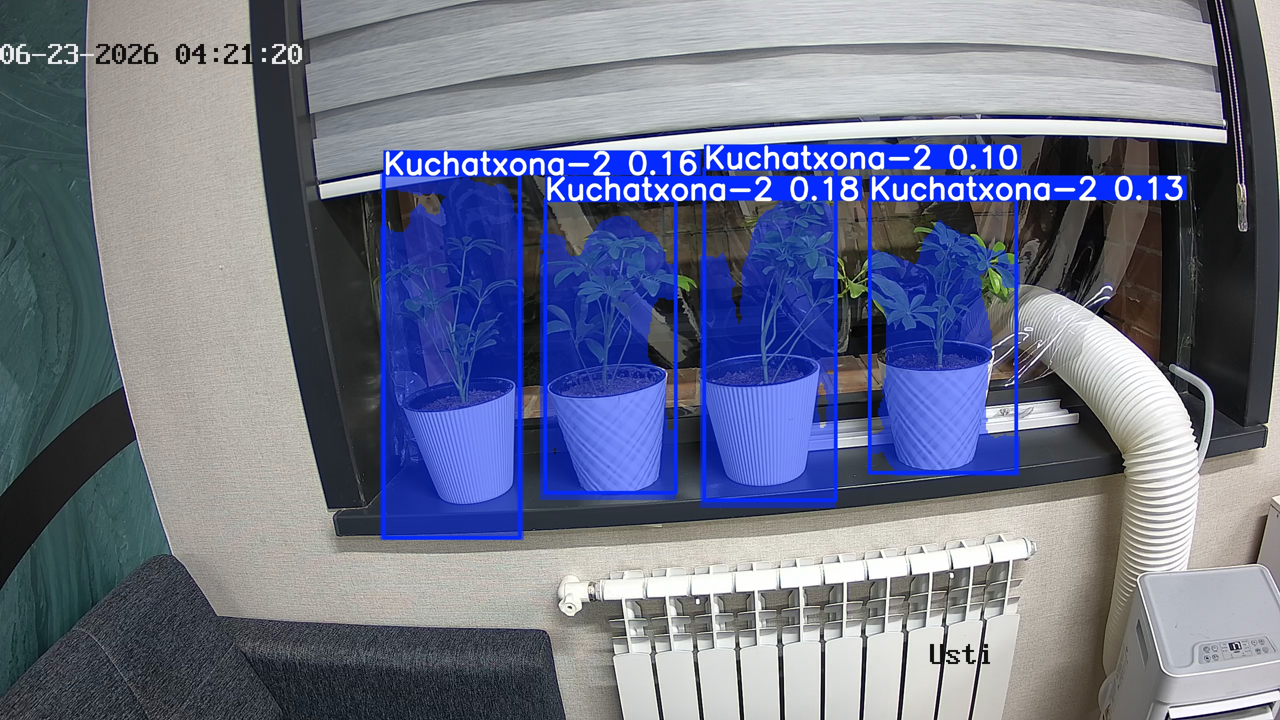 seedling_2026-06-23_04-21-35.jpg