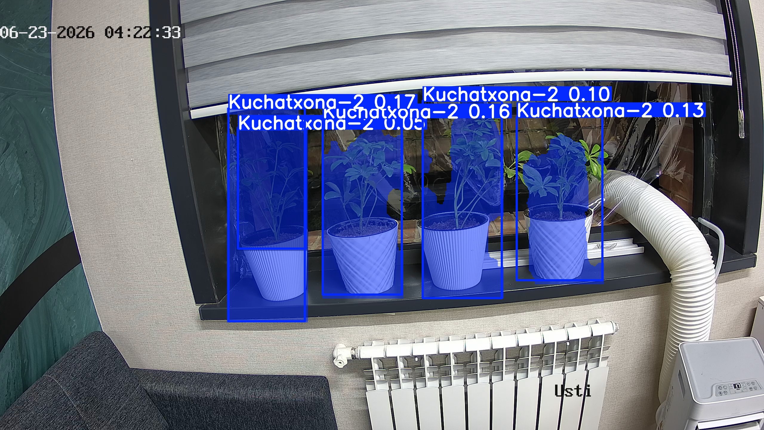 seedling_2026-06-23_04-22-49.jpg