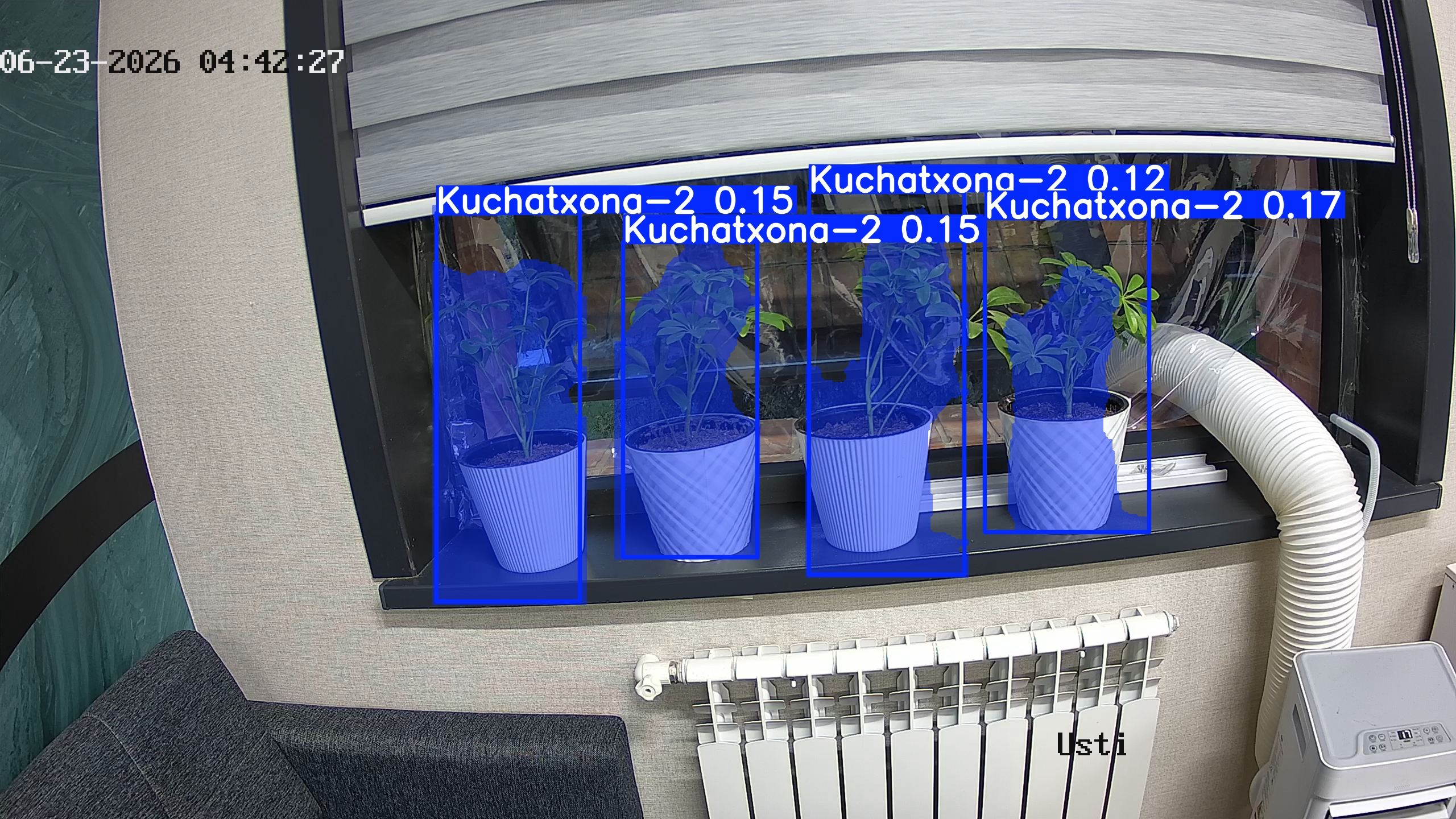 seedling_2026-06-23_04-42-42.jpg