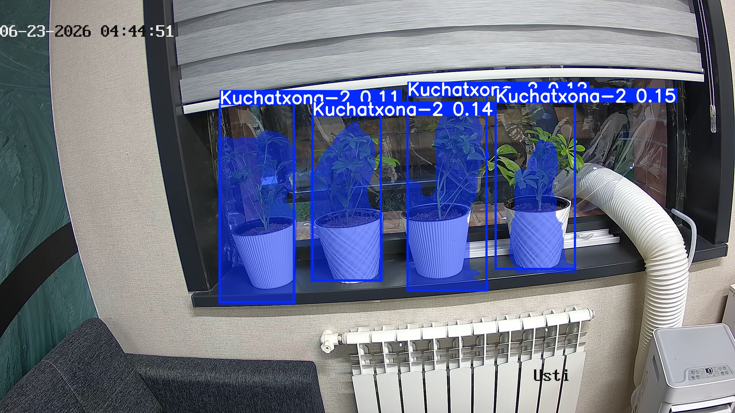 seedling_2026-06-23_04-45-07.jpg