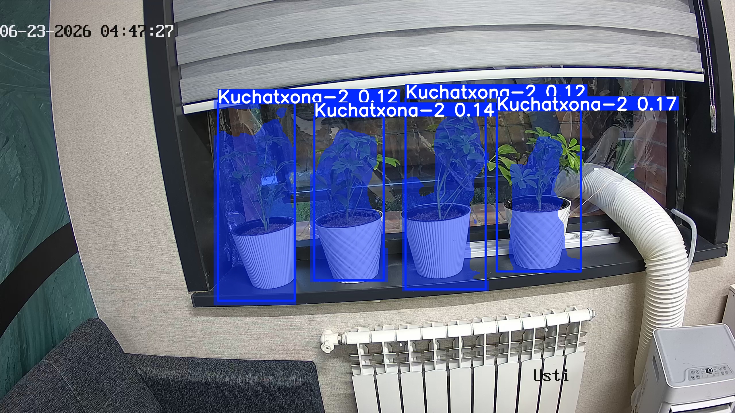 seedling_2026-06-23_04-47-43.jpg