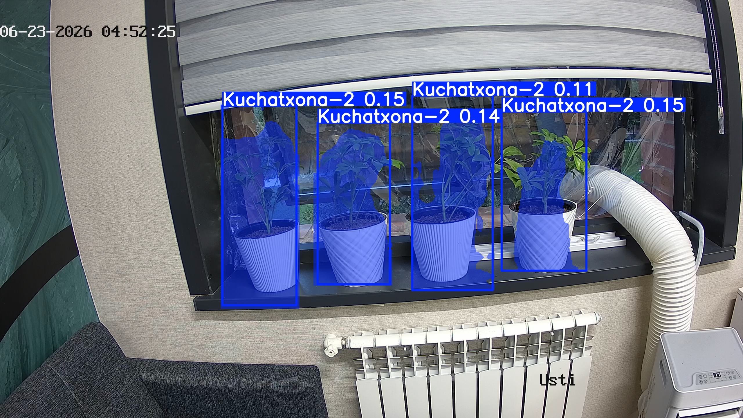 seedling_2026-06-23_04-52-41.jpg