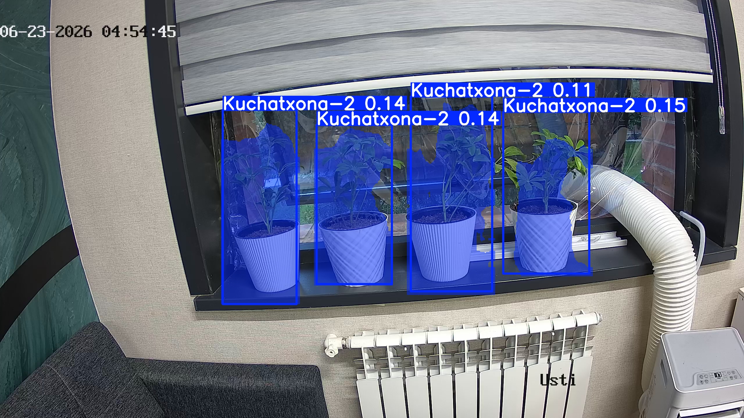 seedling_2026-06-23_04-55-00.jpg