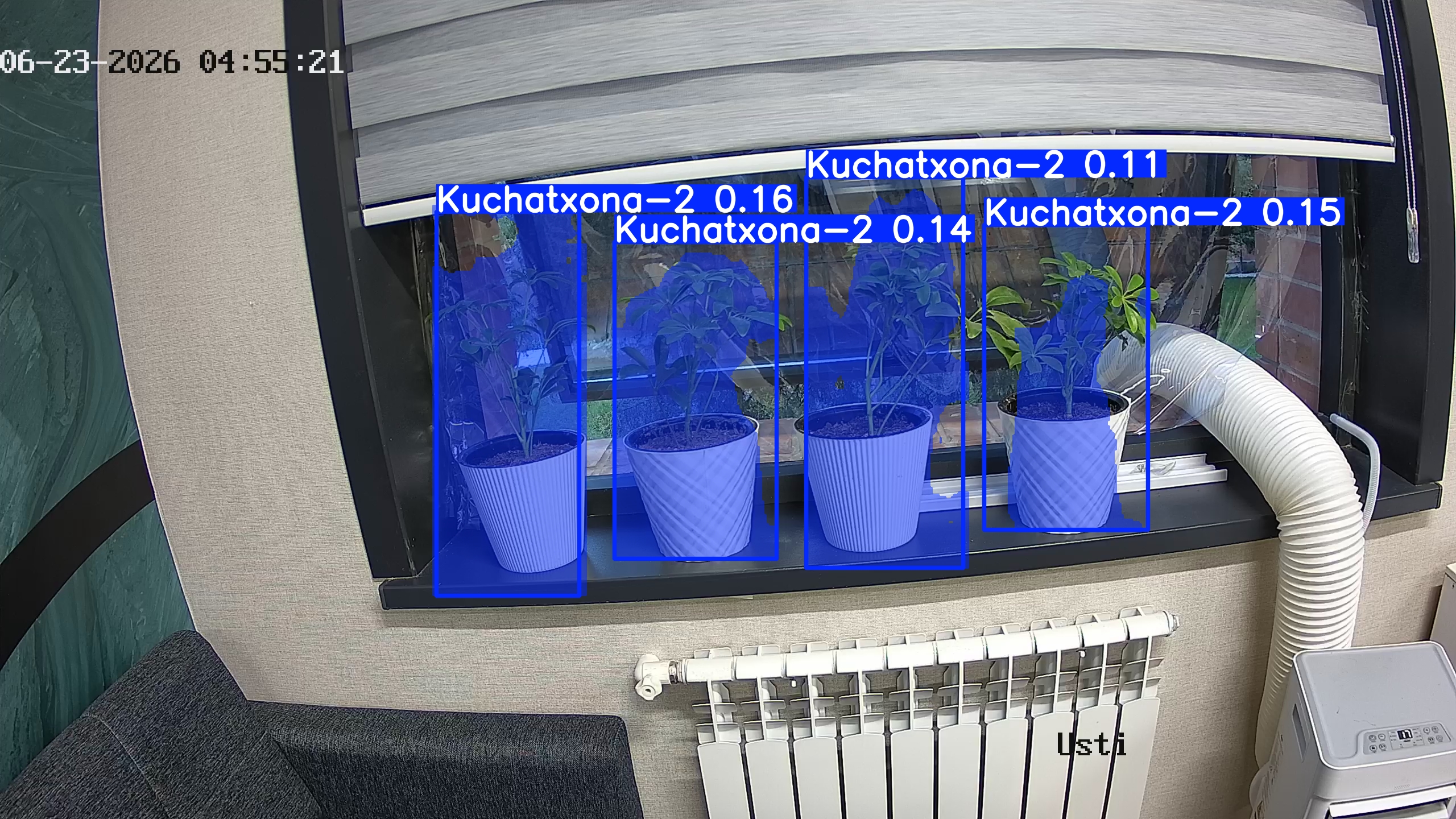 seedling_2026-06-23_04-55-31.jpg
