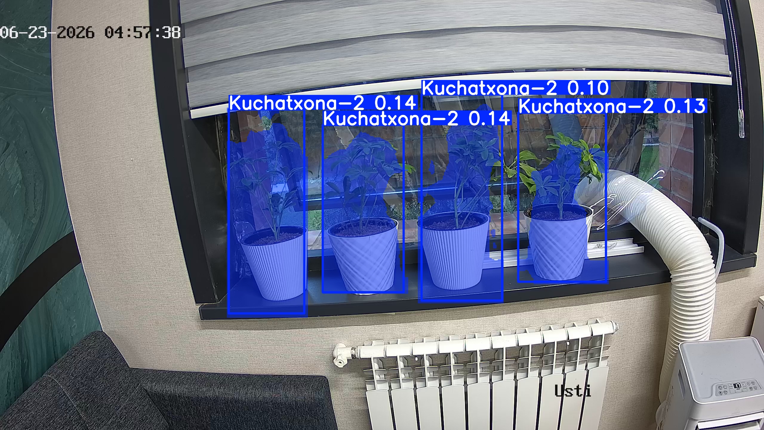 seedling_2026-06-23_04-57-54.jpg