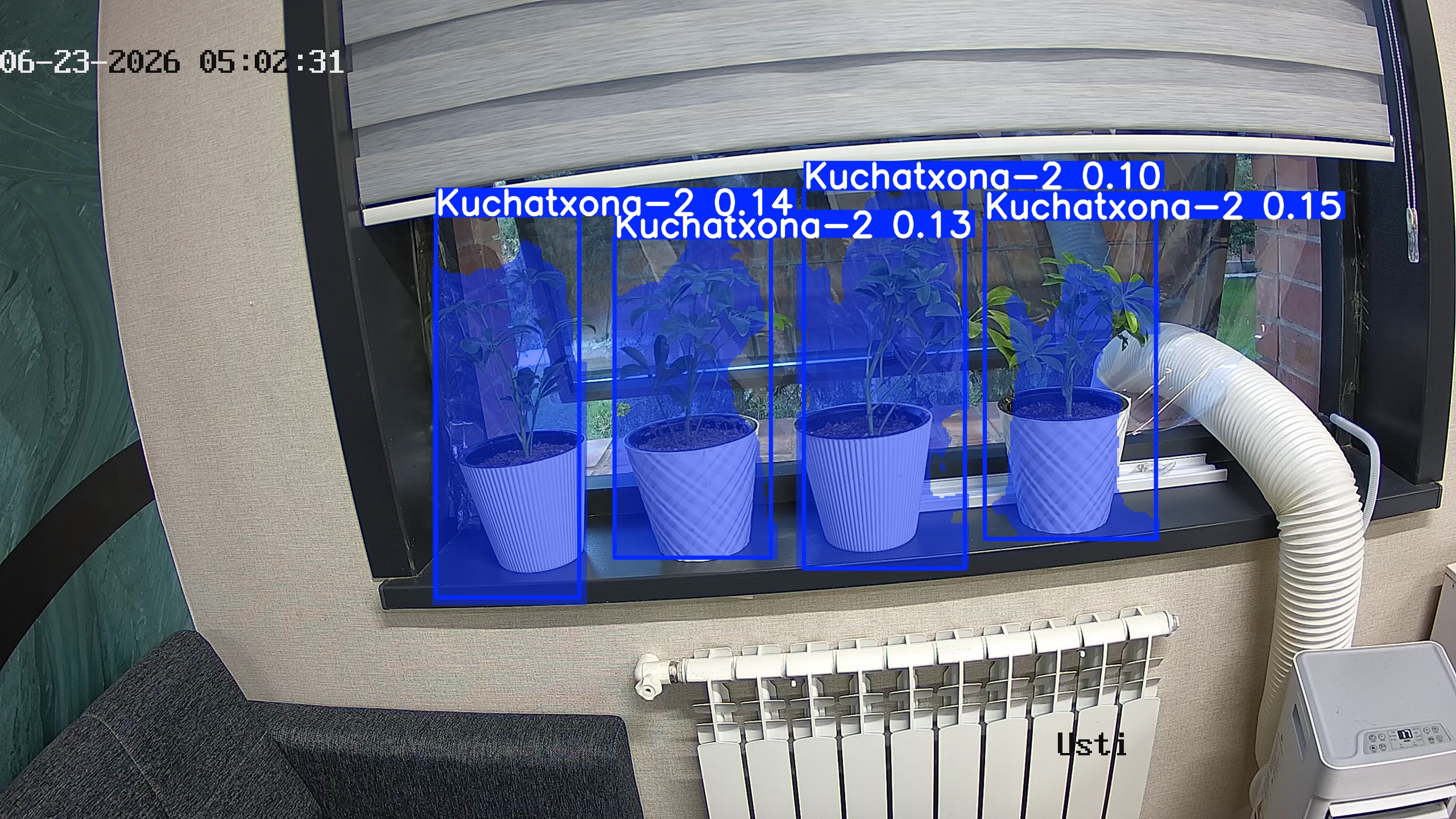 seedling_2026-06-23_05-02-47.jpg