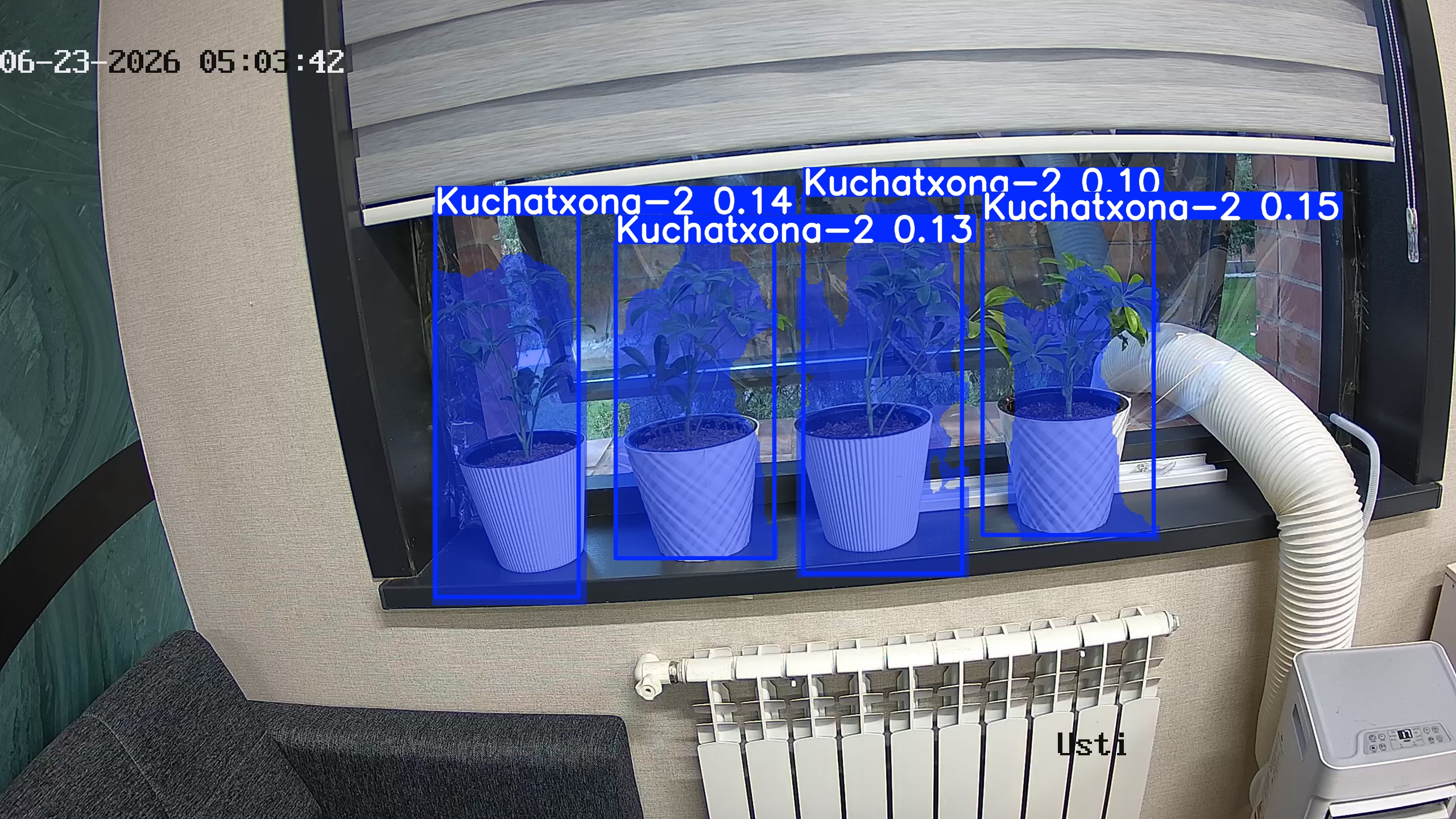 seedling_2026-06-23_05-03-57.jpg