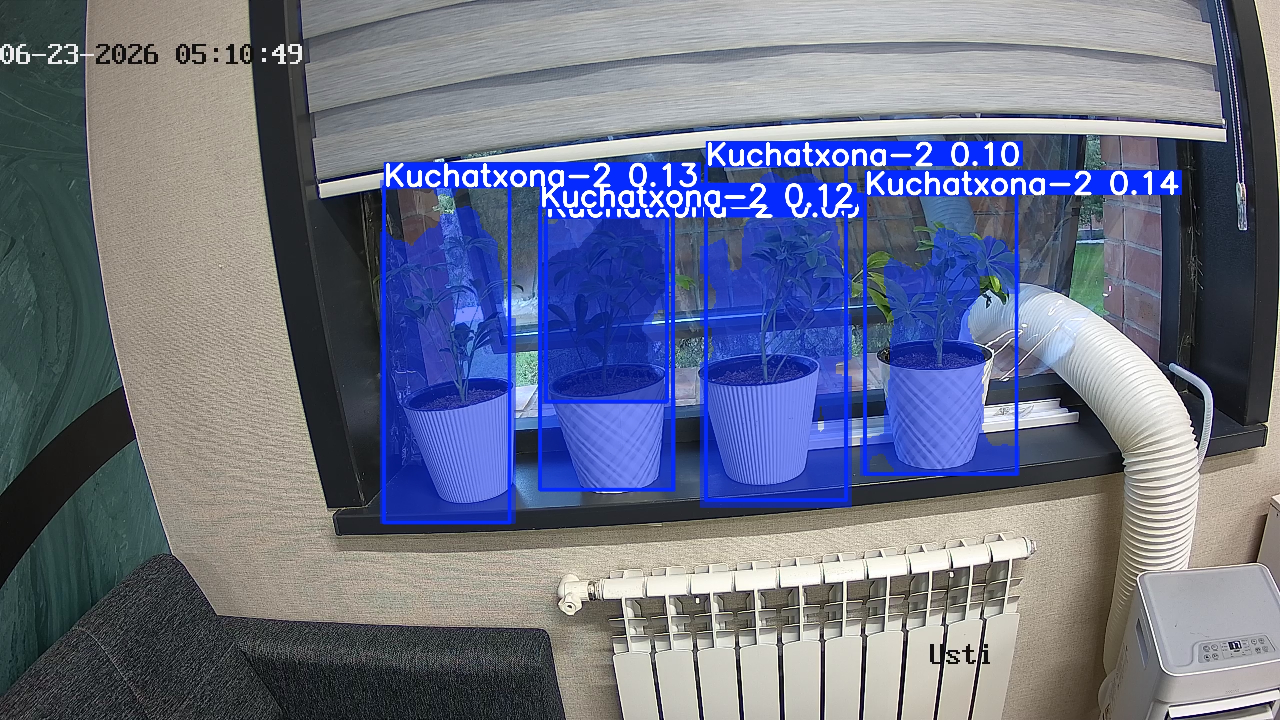 seedling_2026-06-23_05-11-05.jpg