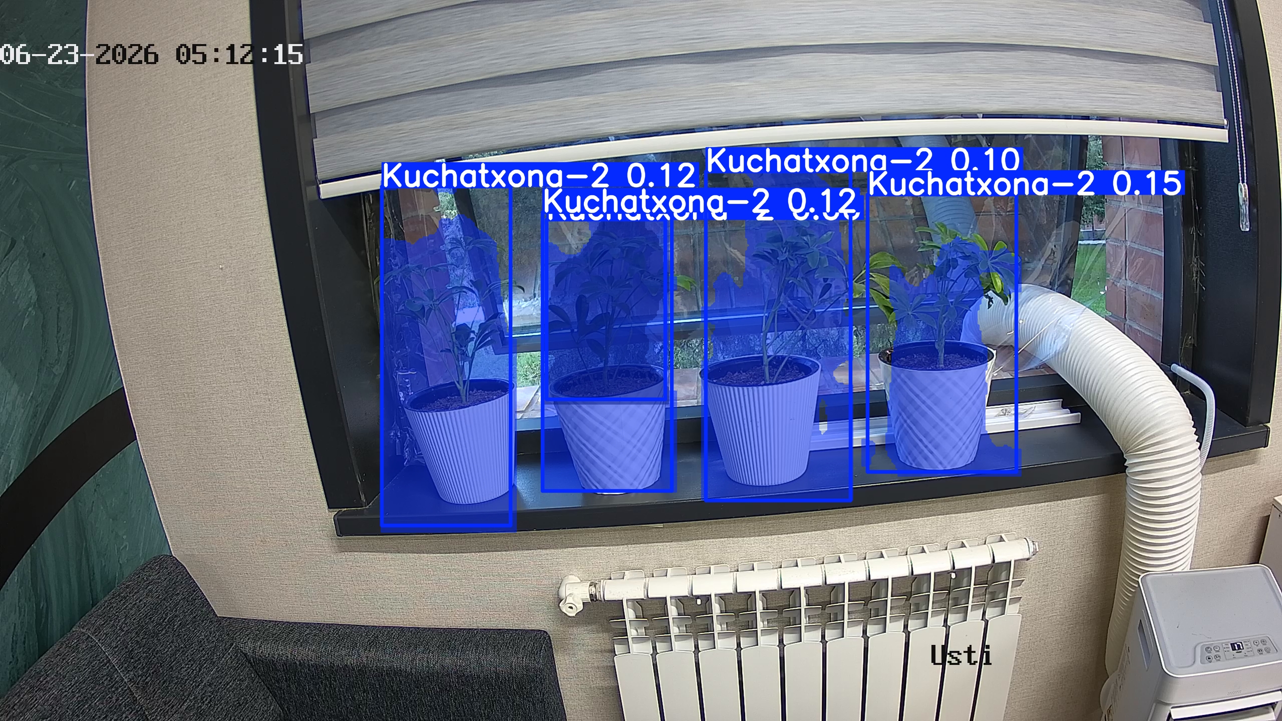 seedling_2026-06-23_05-12-31.jpg