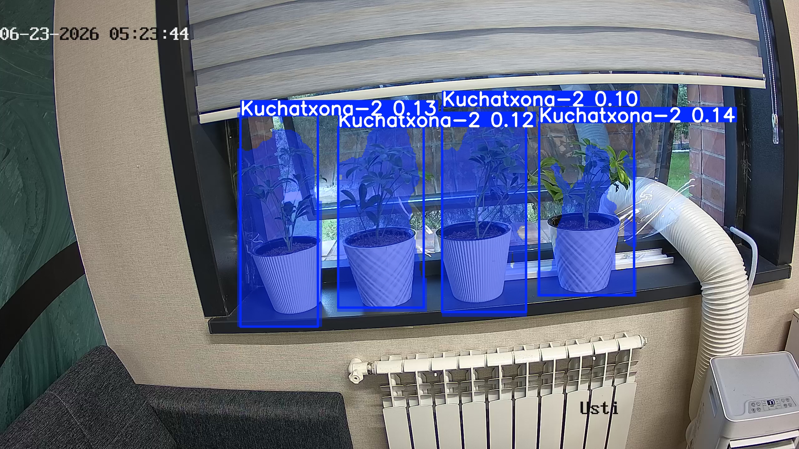 seedling_2026-06-23_05-24-00.jpg