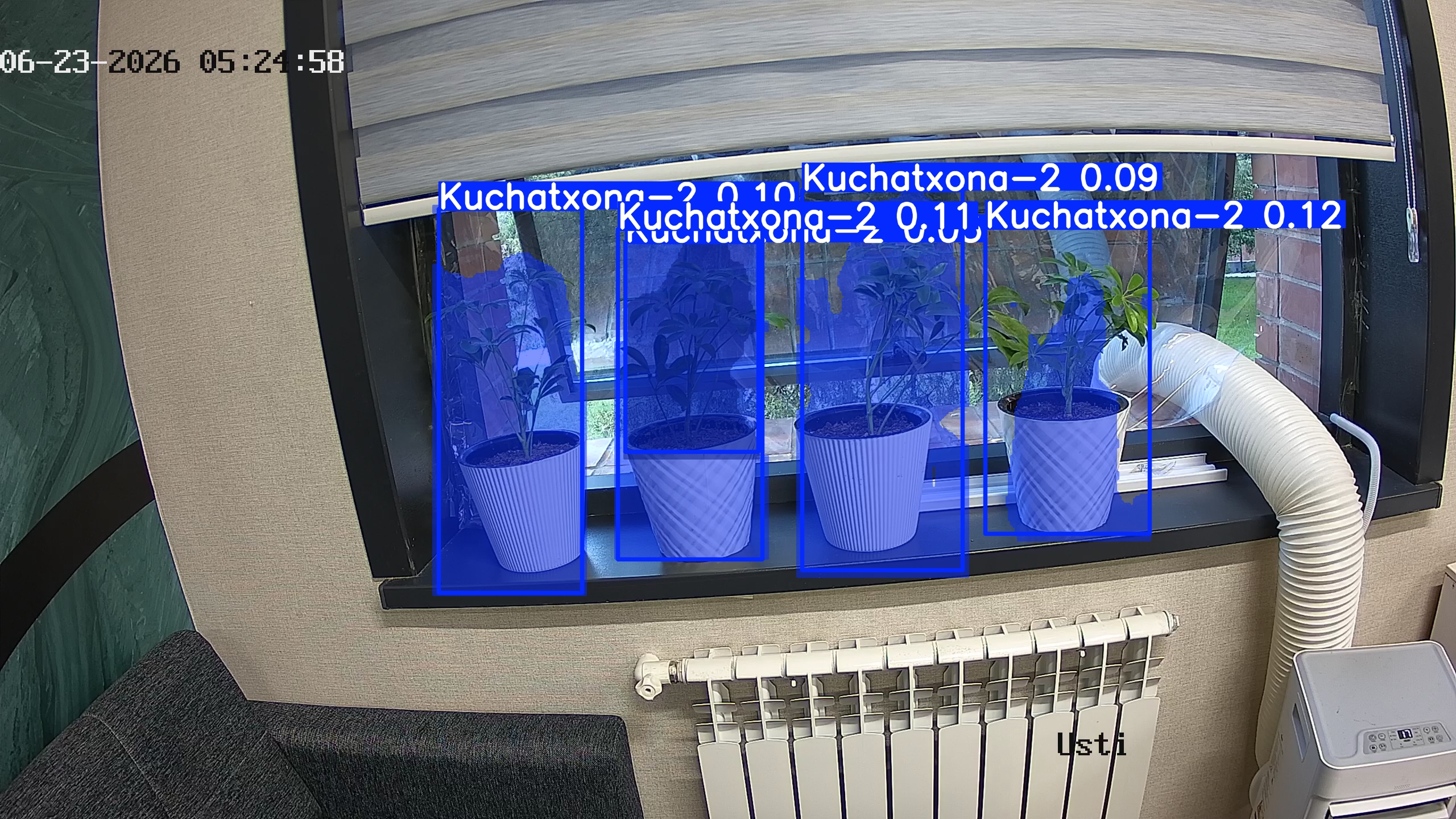 seedling_2026-06-23_05-25-14.jpg