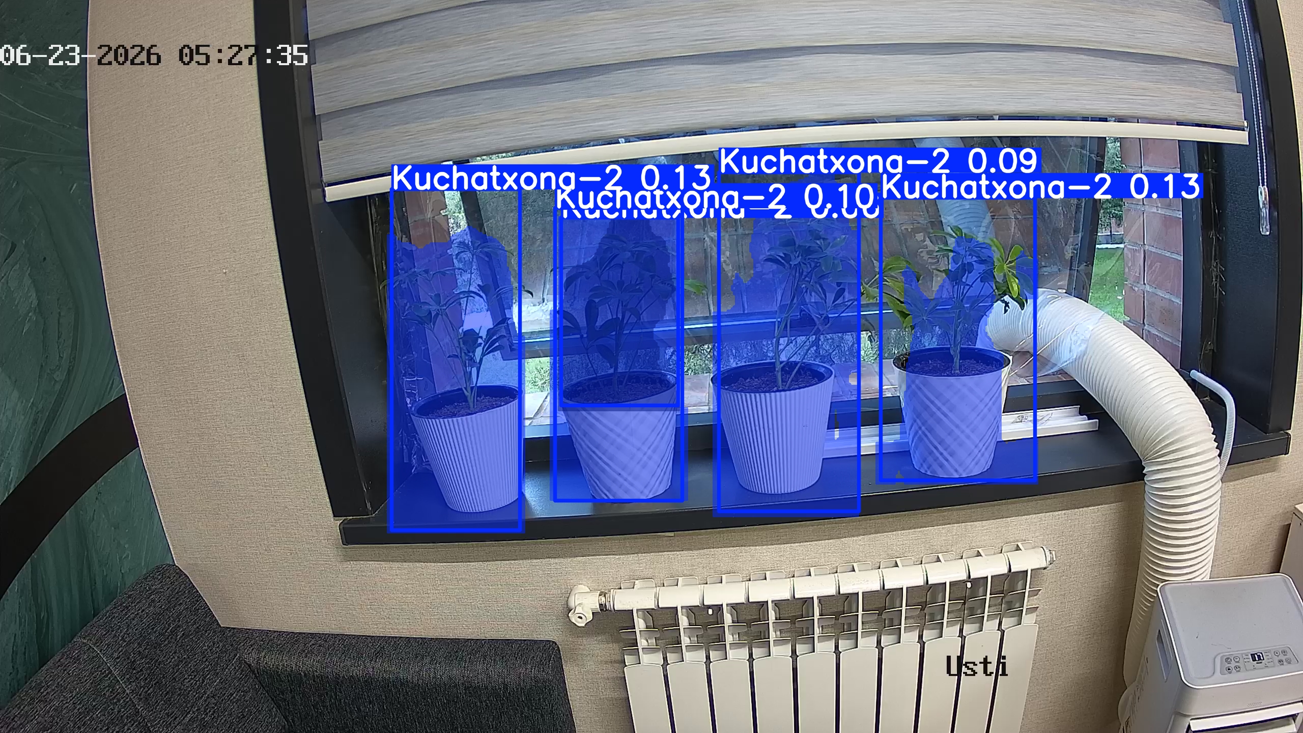 seedling_2026-06-23_05-27-50.jpg