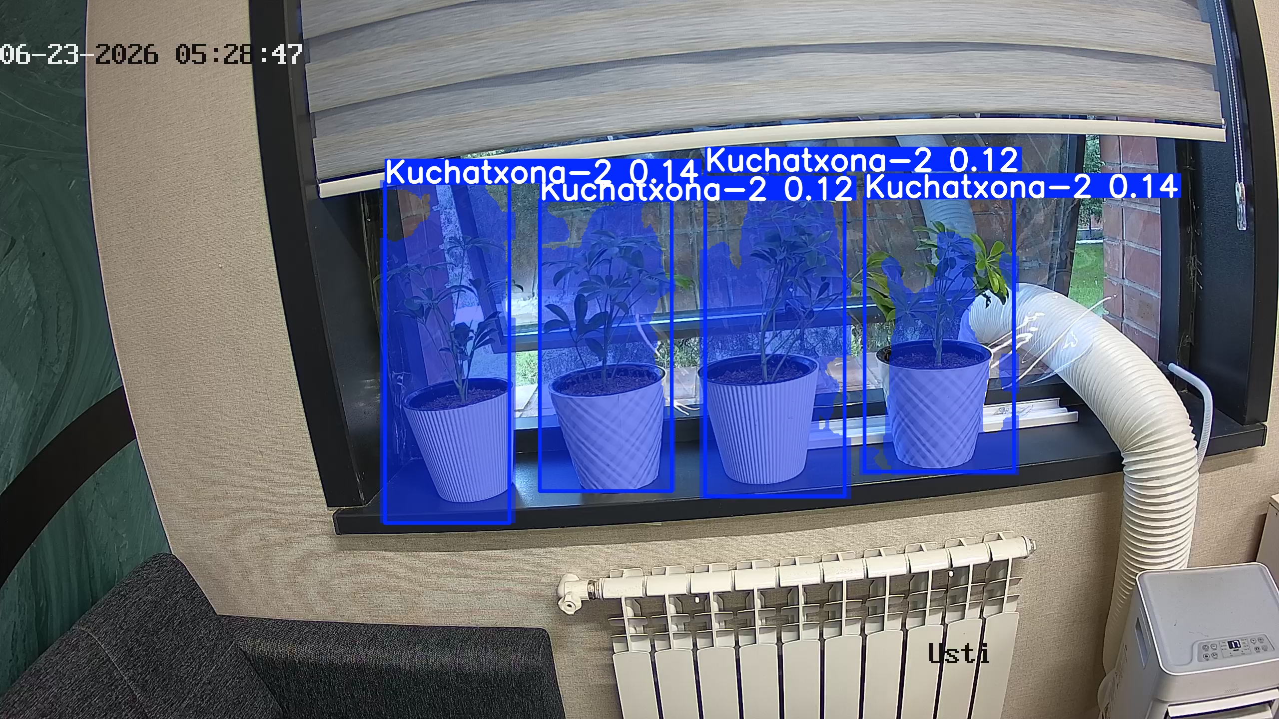 seedling_2026-06-23_05-29-02.jpg