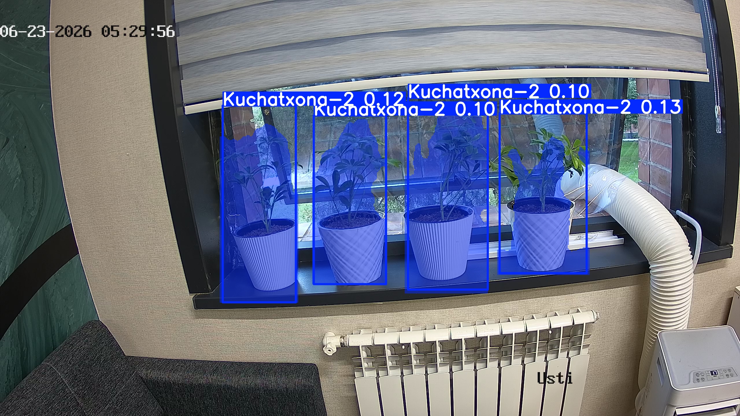 seedling_2026-06-23_05-30-11.jpg