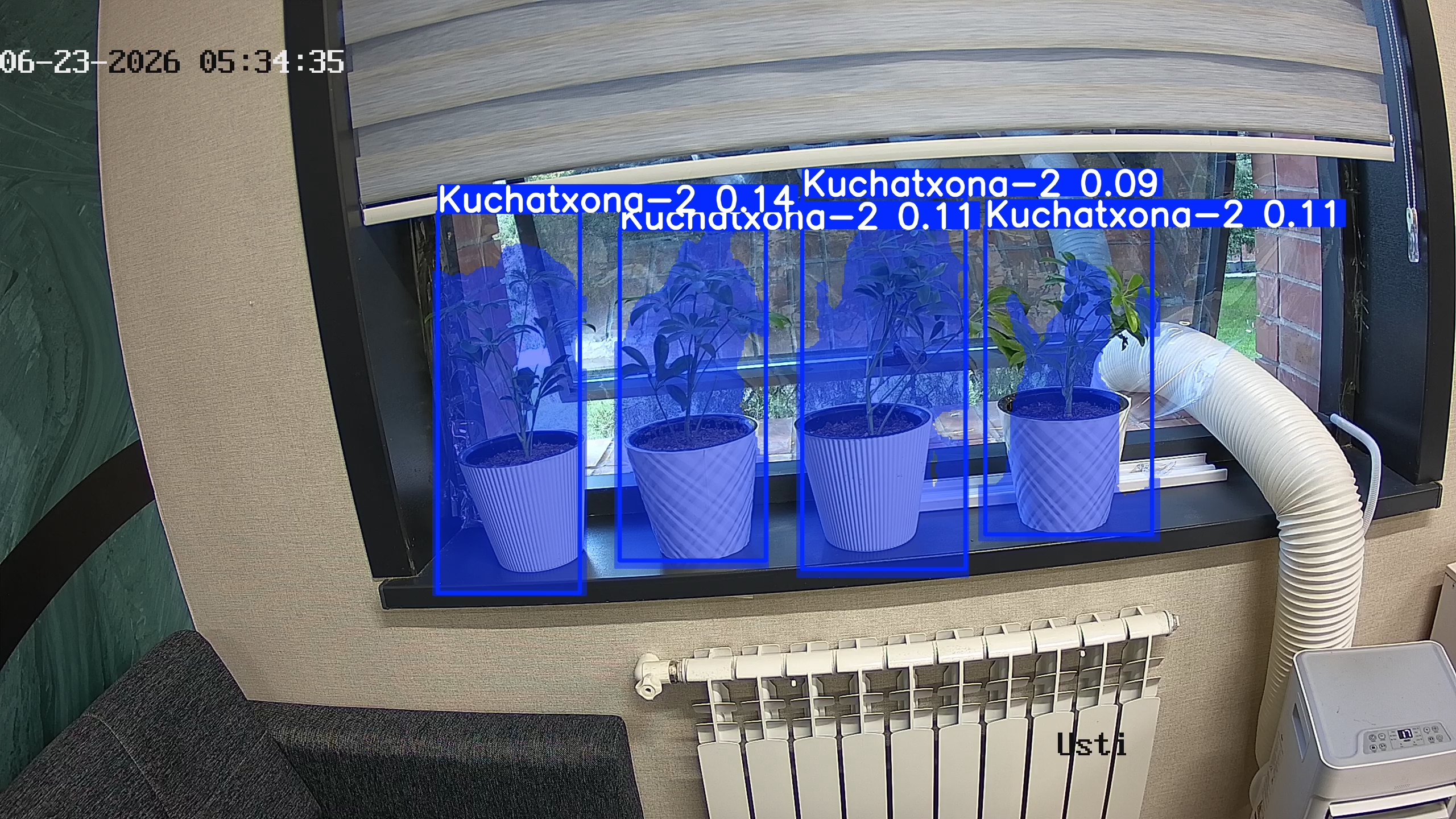 seedling_2026-06-23_05-34-50.jpg
