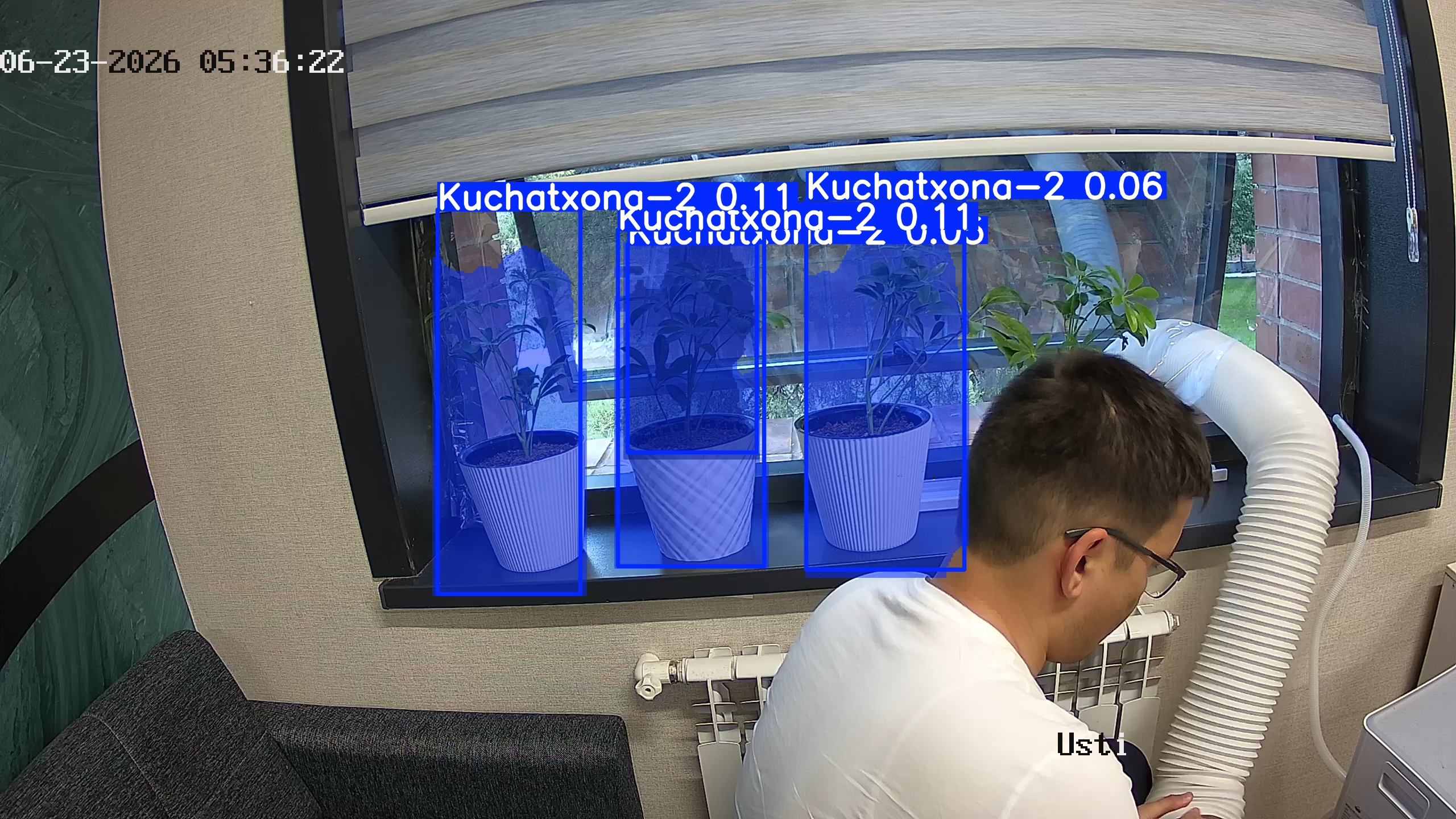 seedling_2026-06-23_05-36-32.jpg