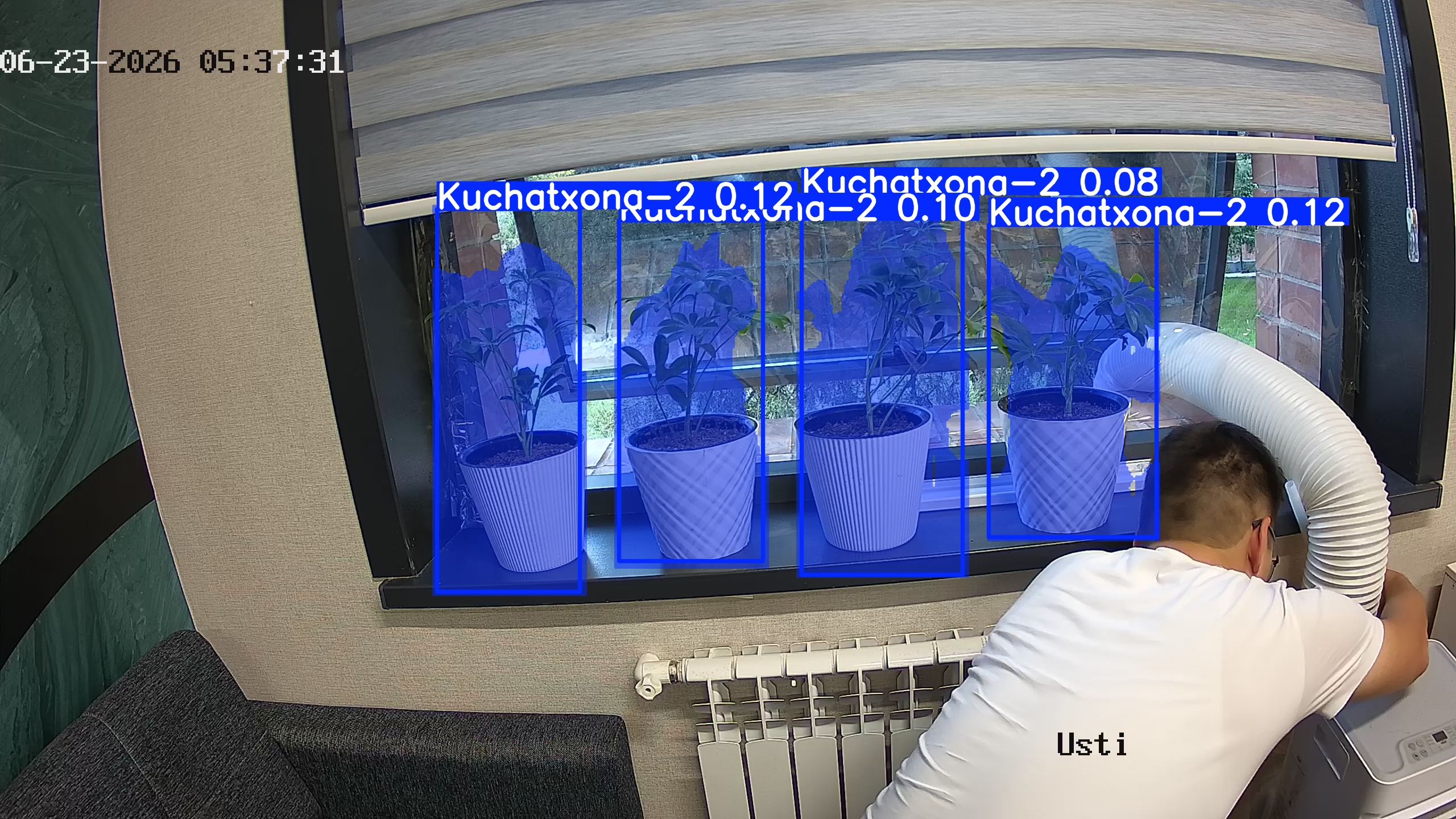 seedling_2026-06-23_05-37-46.jpg