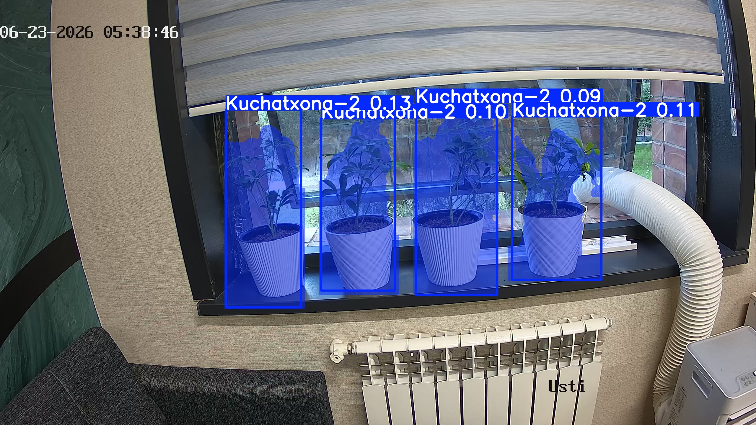 seedling_2026-06-23_05-39-01.jpg